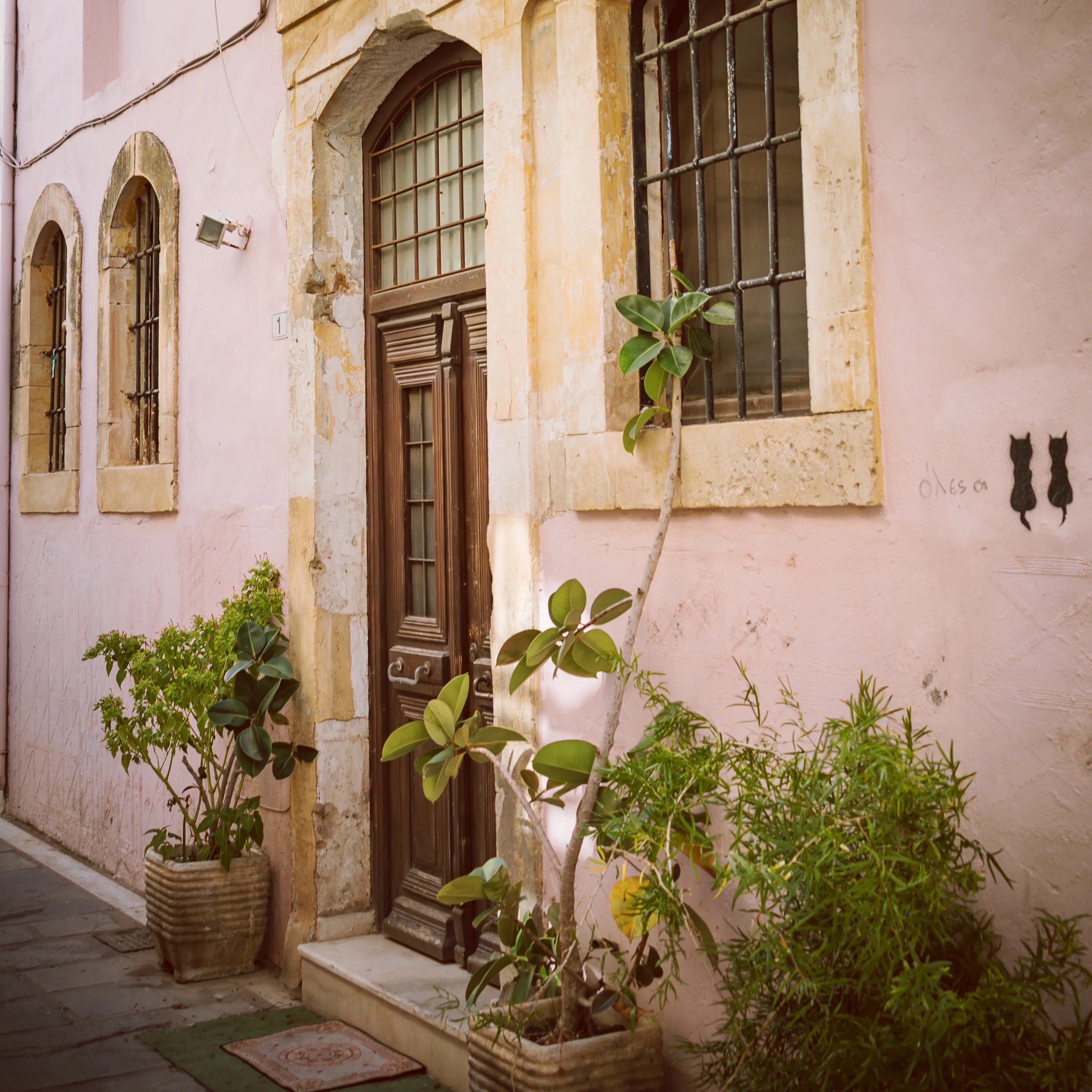 Old wooden door set in a pink wall with arched windows and potted plants.