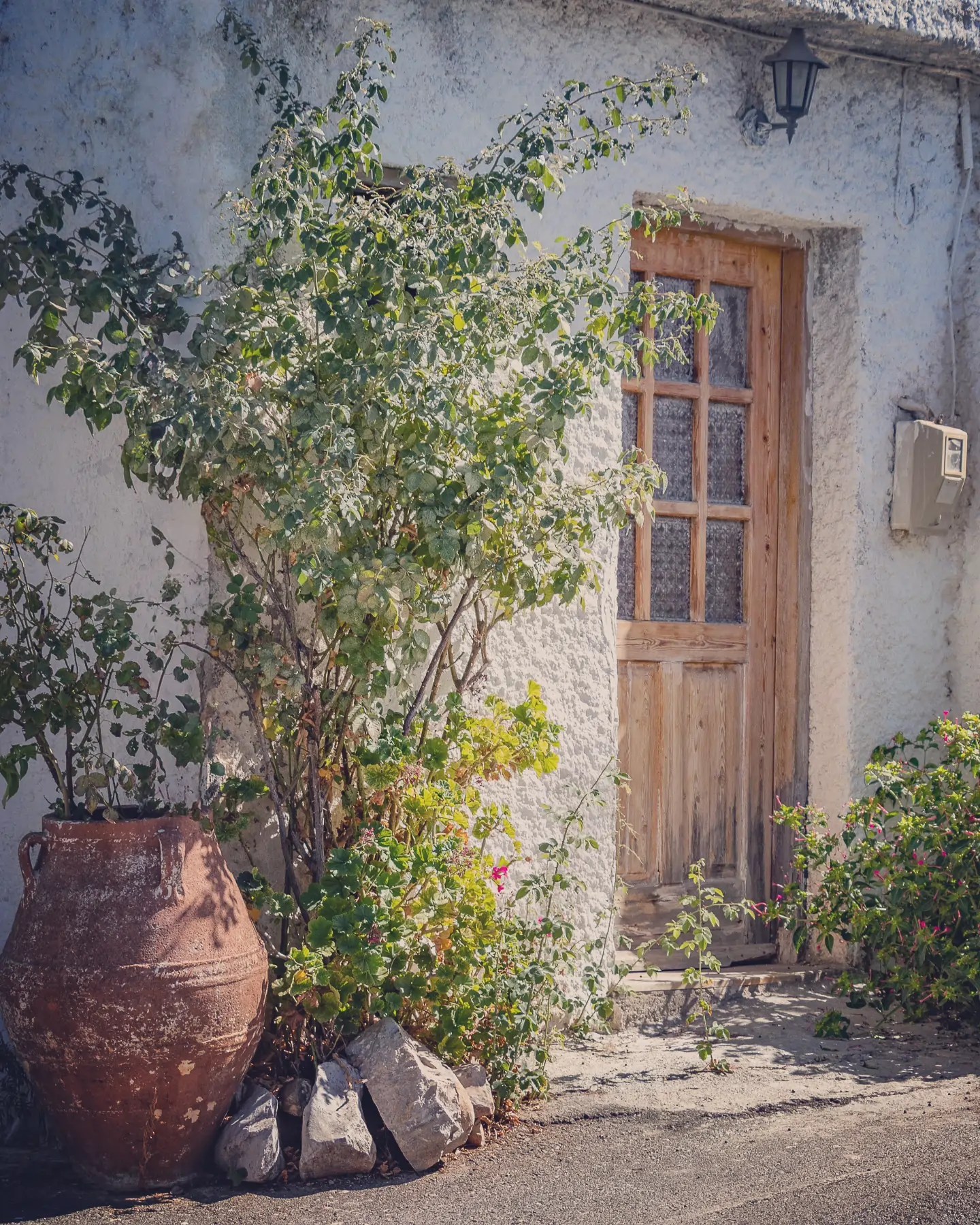 Wooden door set in a whitewashed stone house with a terracotta jar and greenery beside the wall.