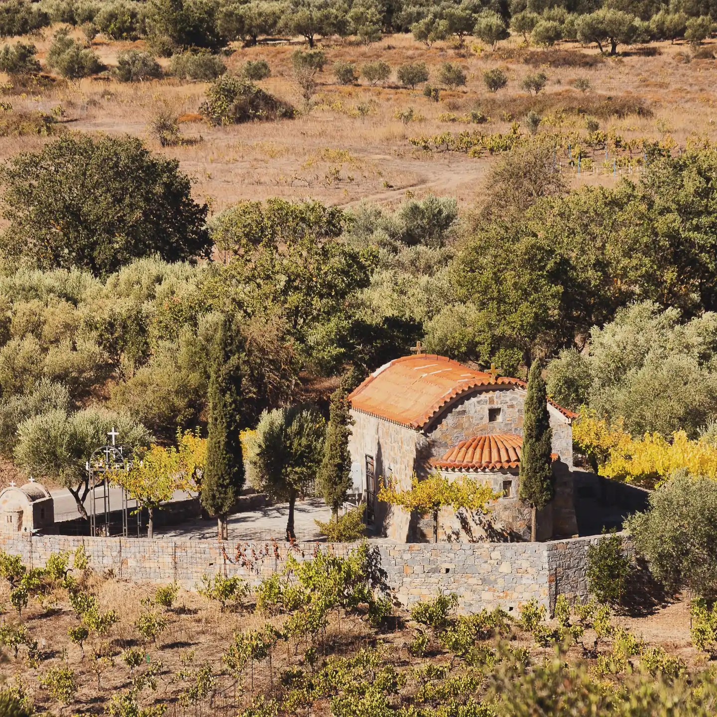 Small stone church with a terracotta roof surrounded by olive trees and dry fields near the Lasithi Plateau area.