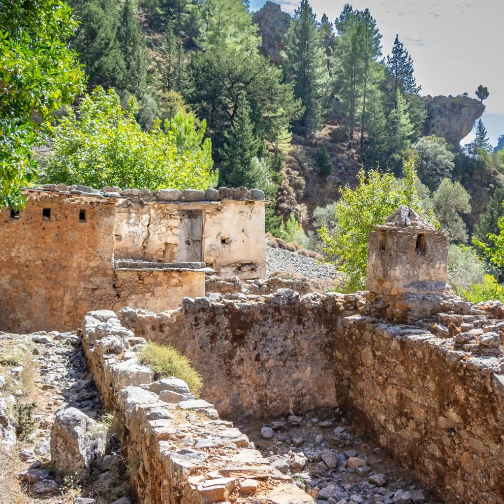 Weathered stone building ruins surrounded by pine trees in a rocky mountain setting.