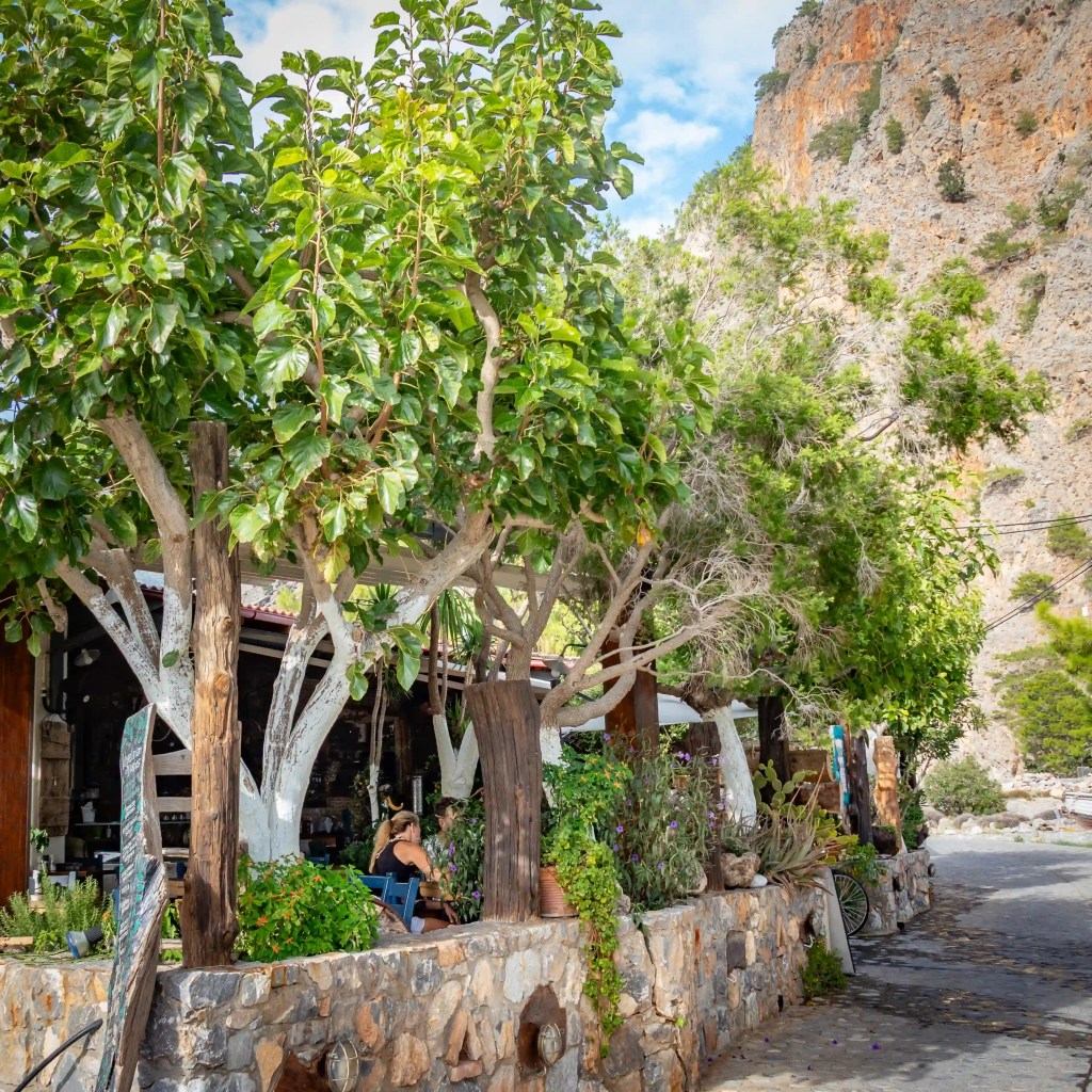 The shaded outdoor seating area of Rousios Taverna in Agia Roumeli, surrounded by leafy trees and stone walls near the base of a cliff.