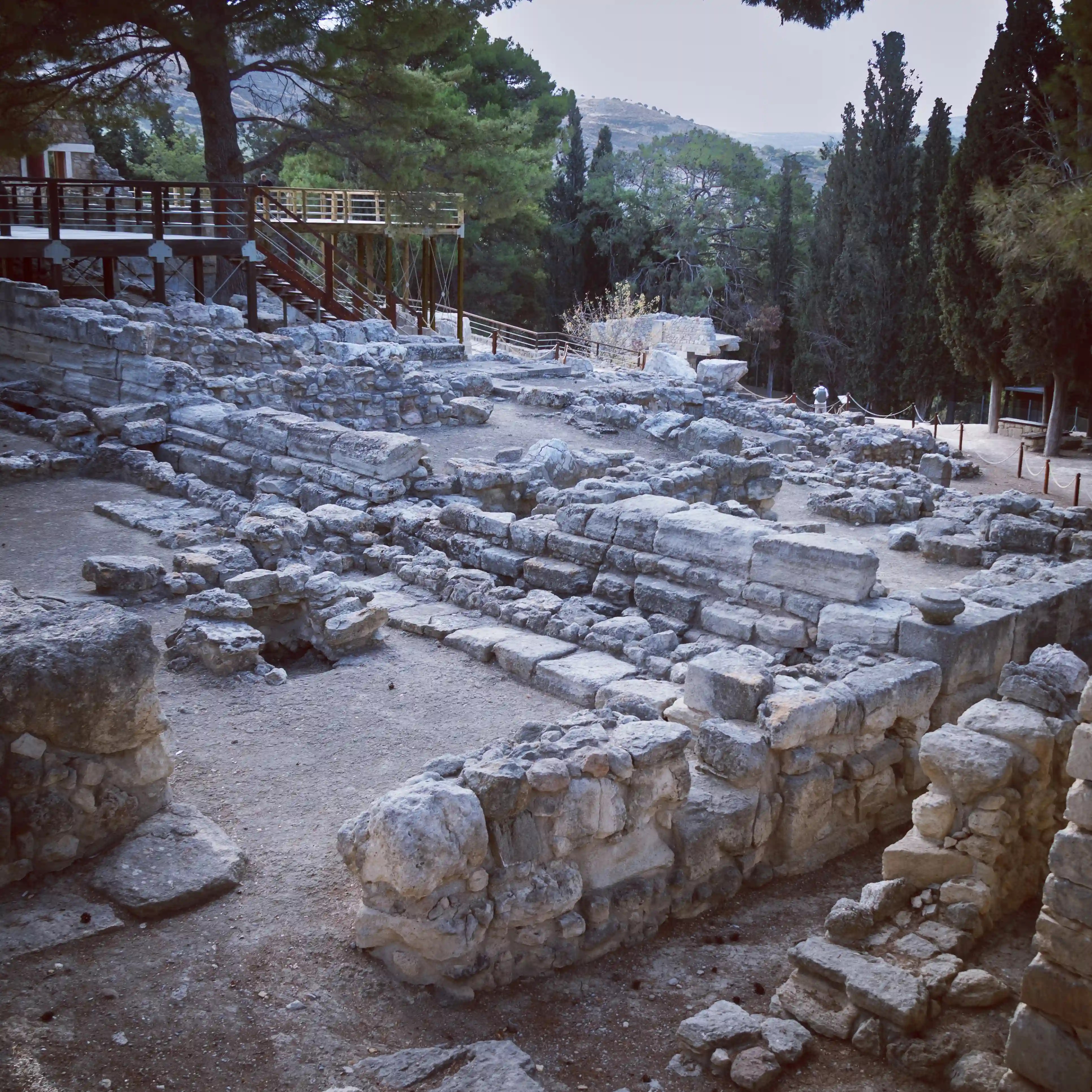Excavated stone foundations and ruins at the Palace of Knossos surrounded by pine trees.