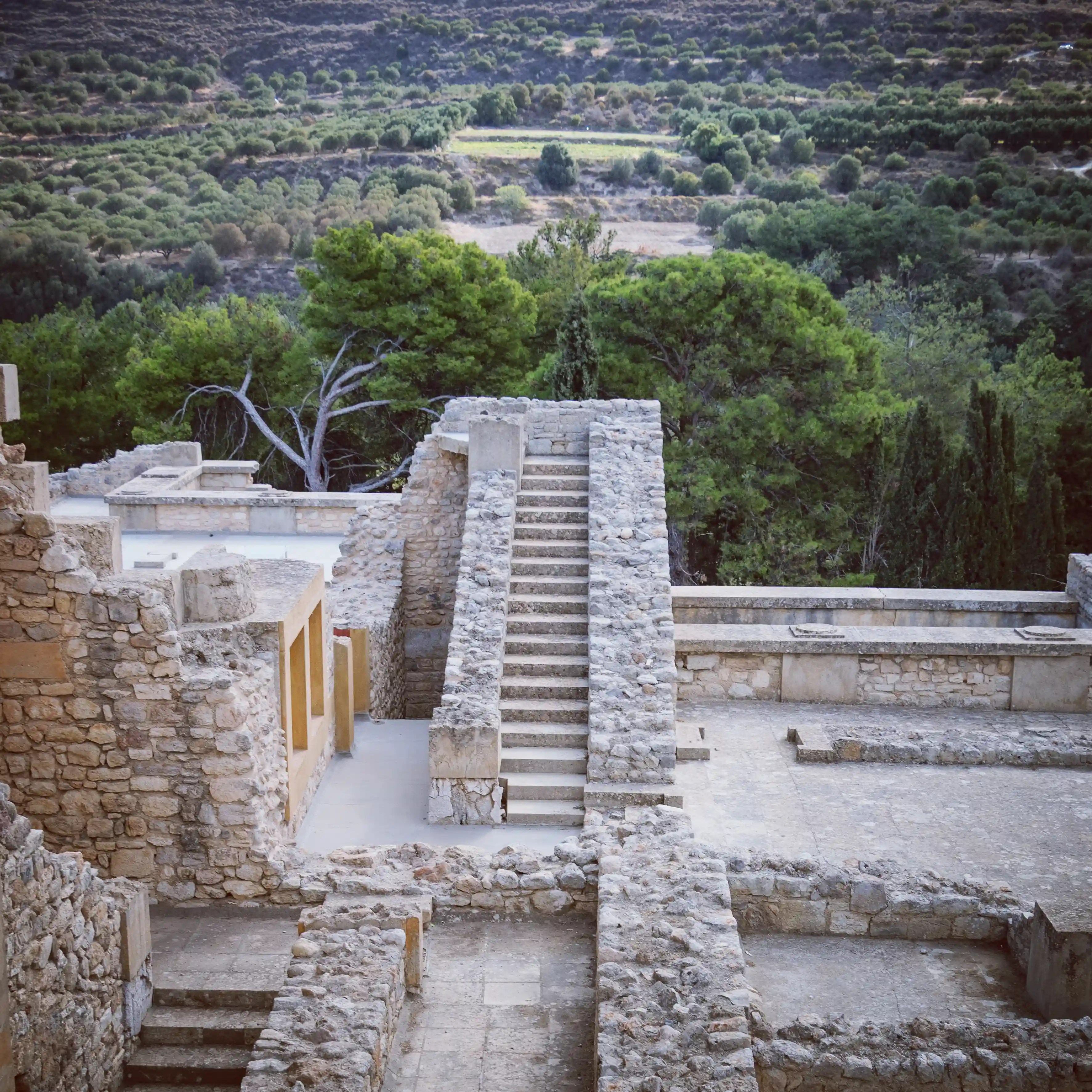 Restored stone staircase at Knossos with views of surrounding olive groves.
