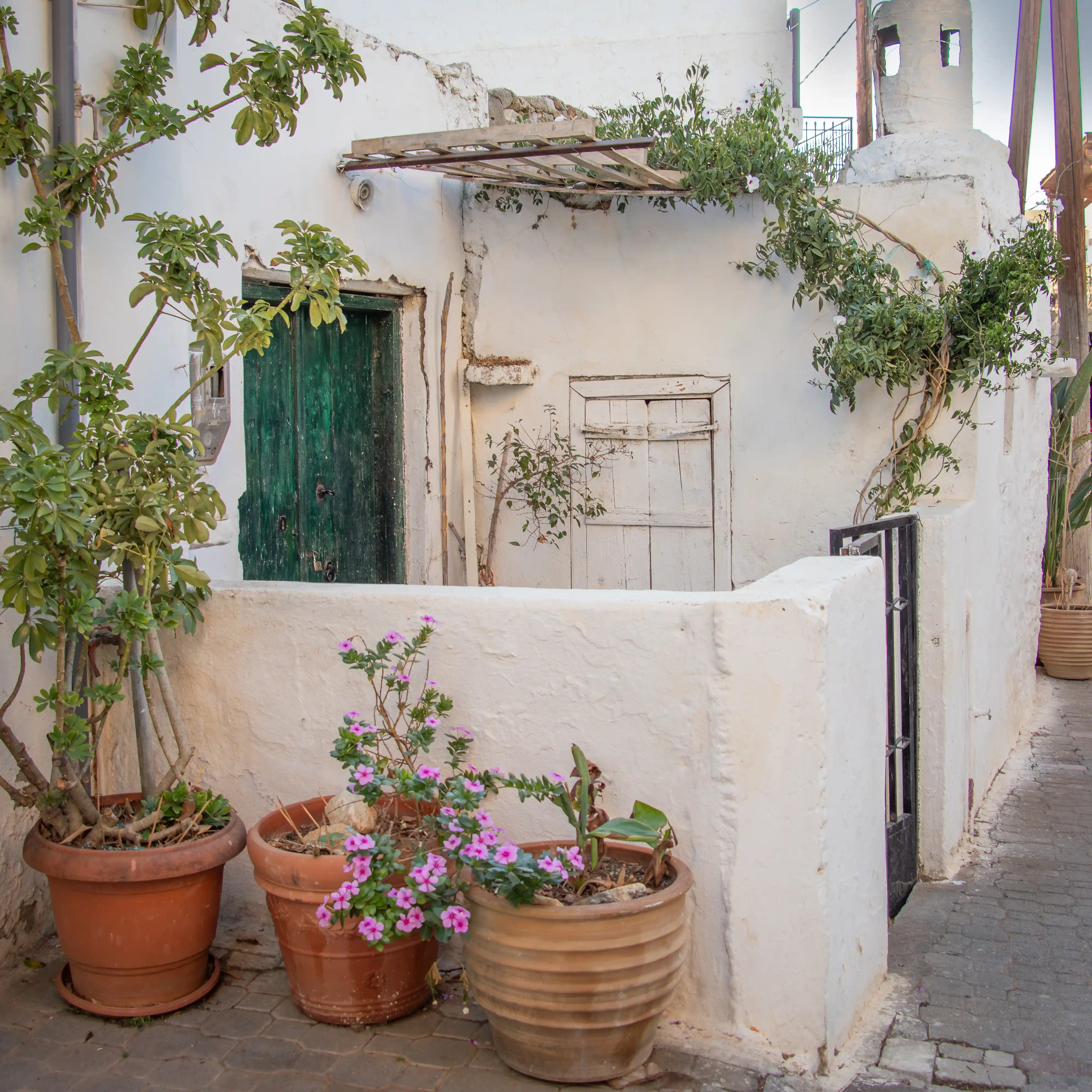 Whitewashed house with a weathered green door and potted plants in Ano Hersonissos.