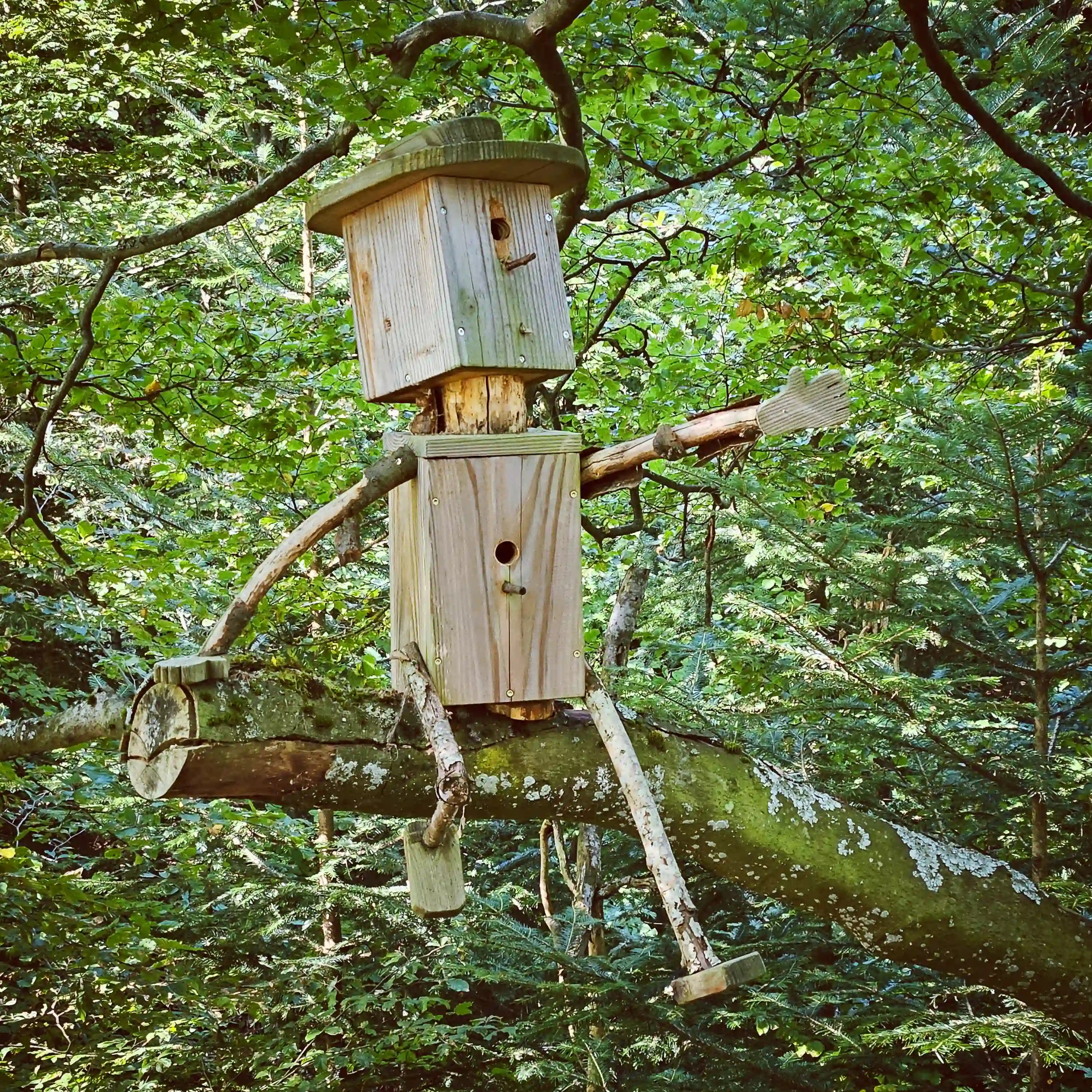A whimsical wooden birdhouse sculpture made from natural wood pieces sits among leafy branches in the Black Forest.