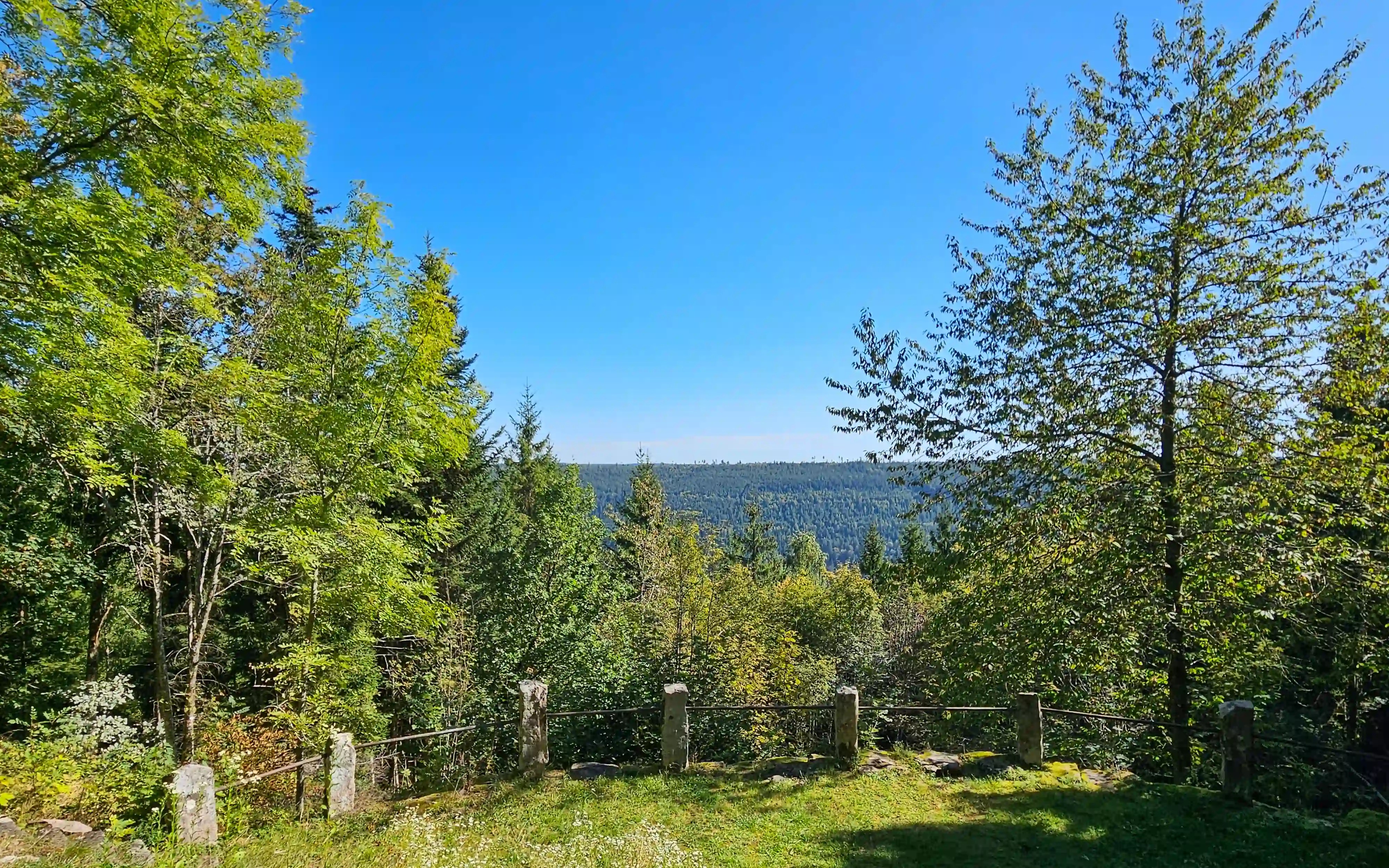 A grassy viewpoint framed by trees overlooks forested hills in the northern Black Forest under a clear blue sky.