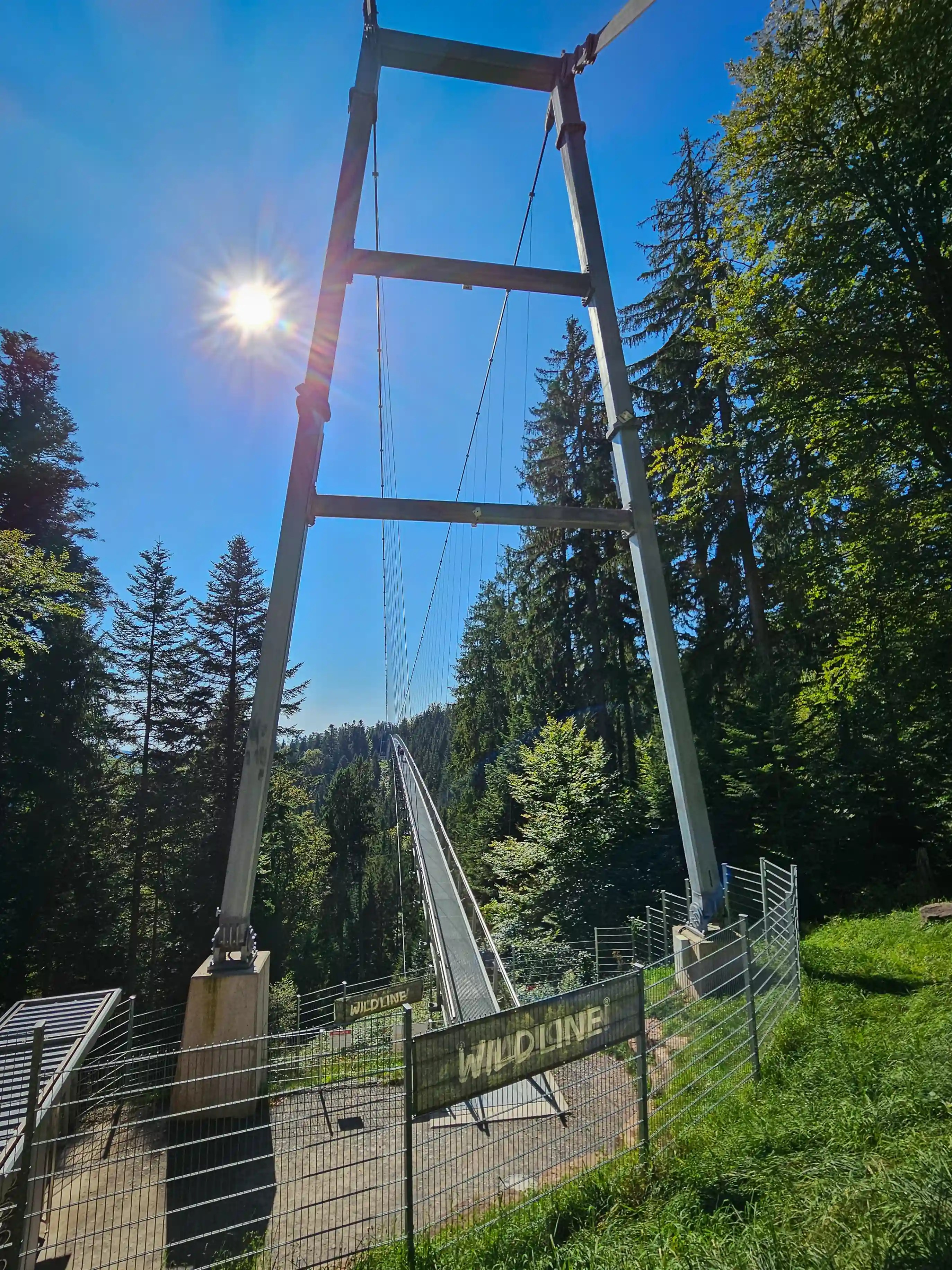 A long suspension bridge stretches across a forested valley with a sign reading “Wildline.”