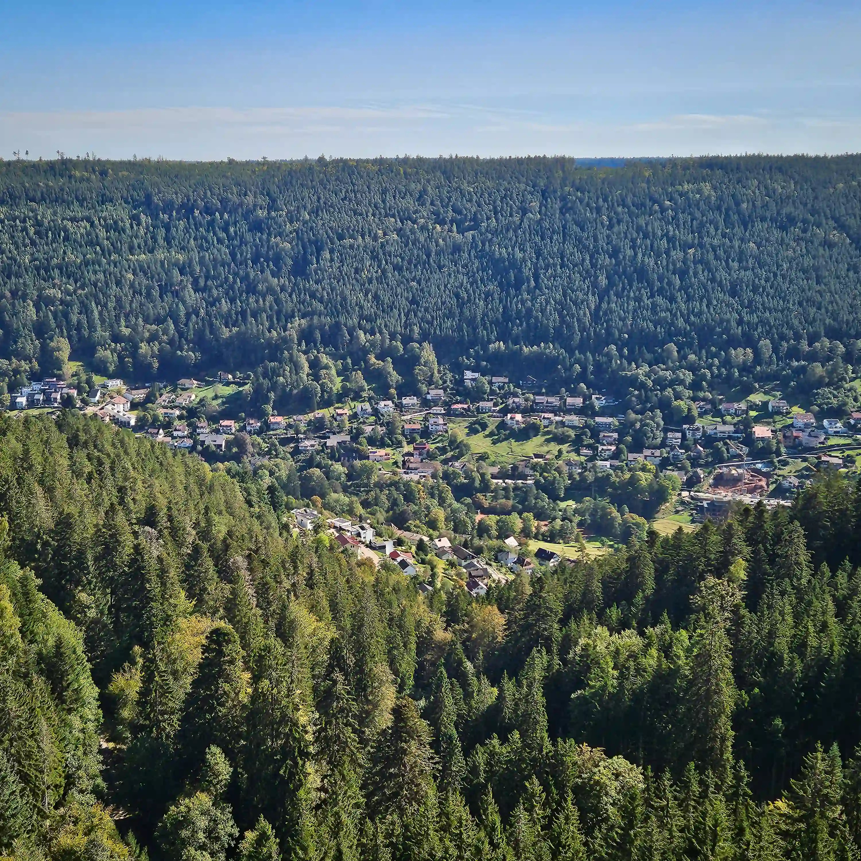 A wide view of a forested Black Forest valley with a small town nestled among trees.
