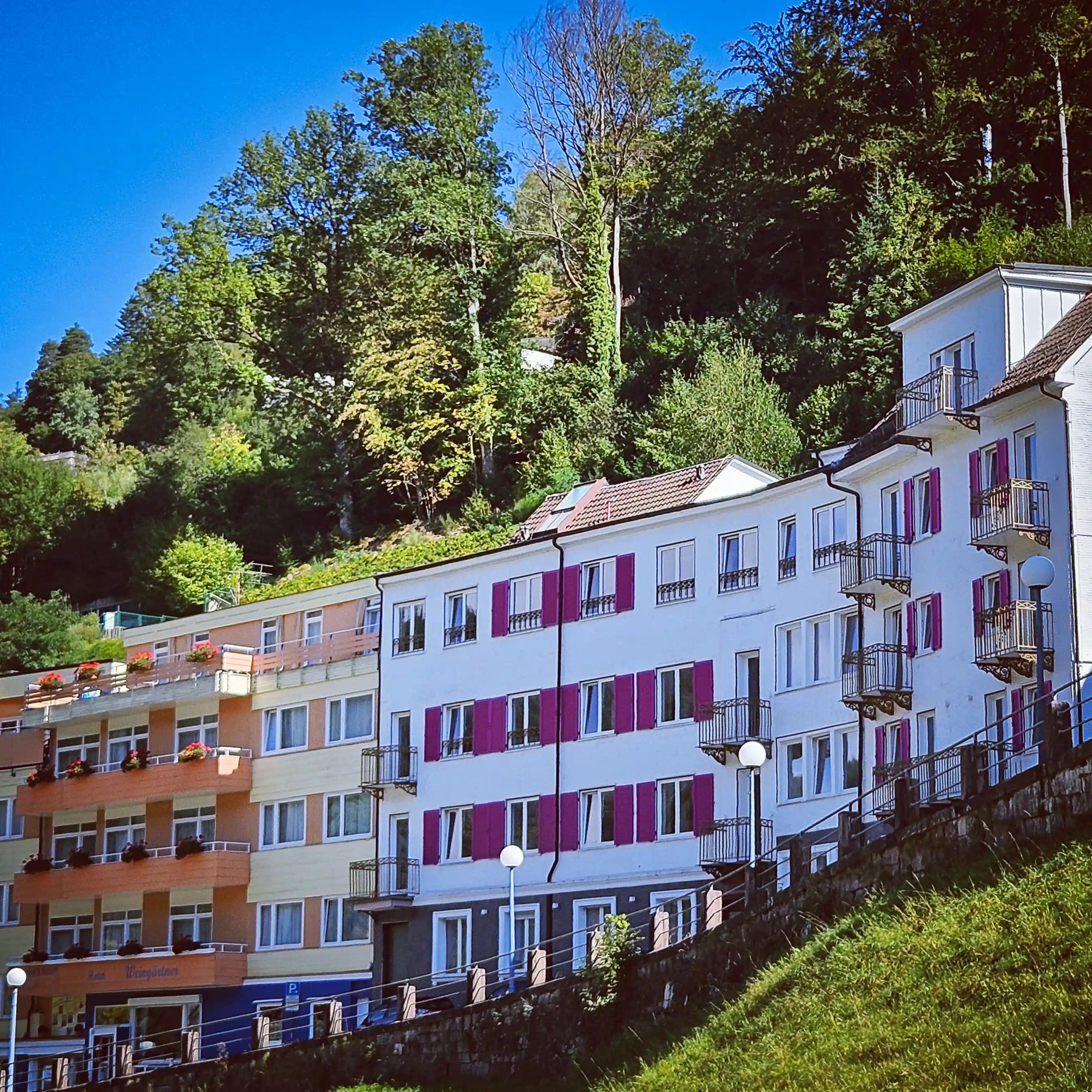 White and pastel buildings line a hillside beneath dense trees in Bad Wildbad.