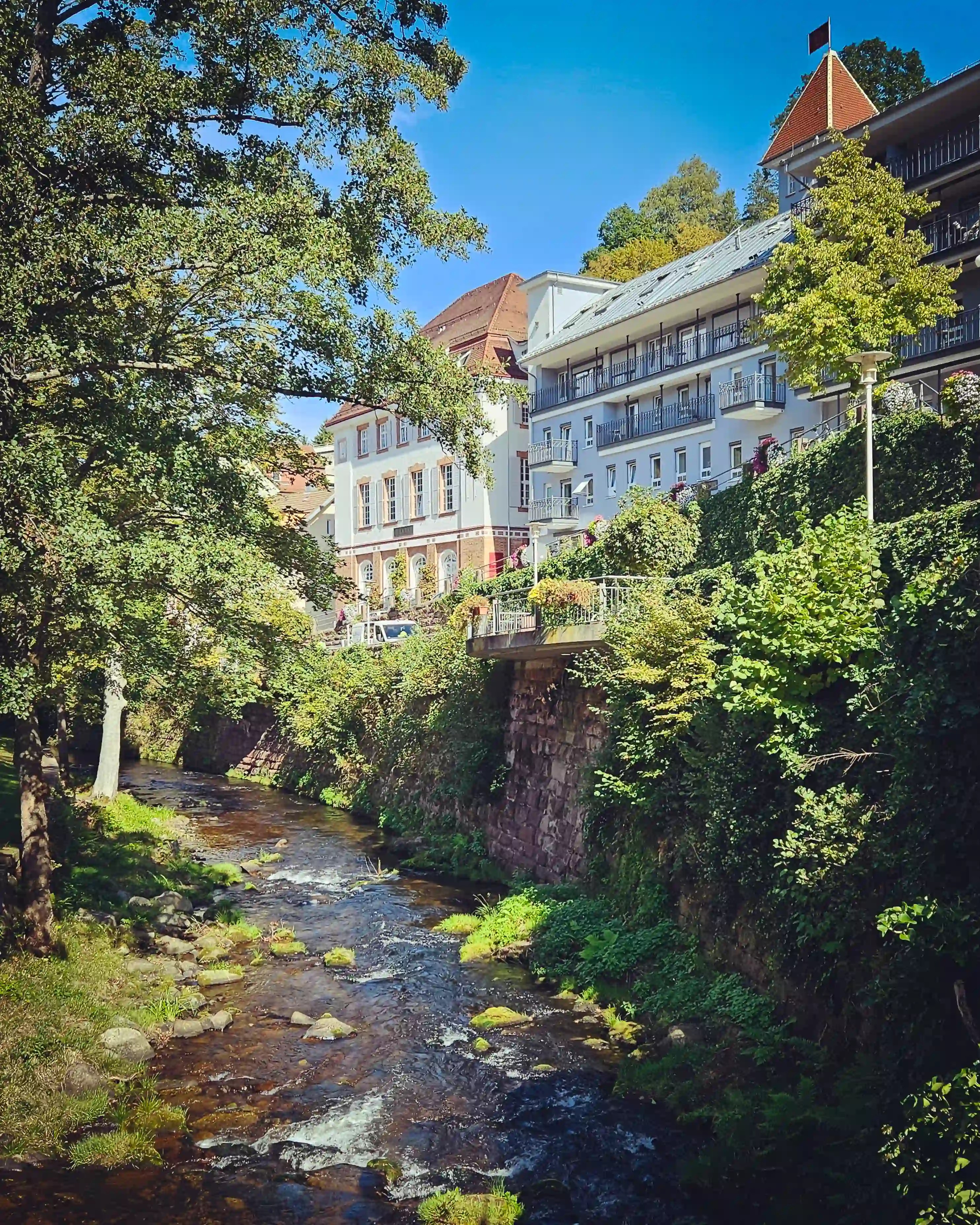 A narrow river flows through Bad Wildbad with buildings and greenery along its banks.