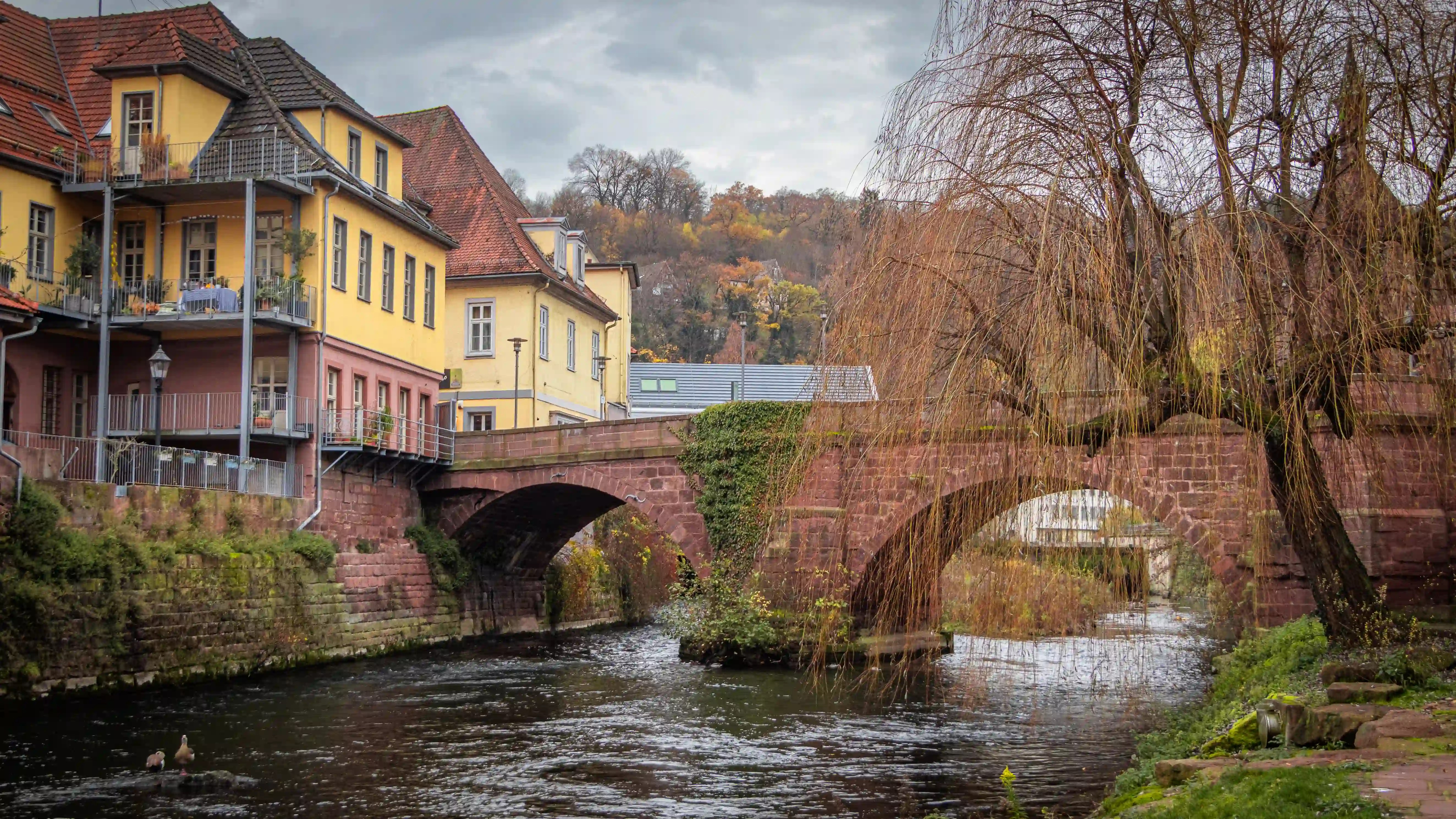 A stone bridge arches over the river beside yellow historic buildings in Calw.