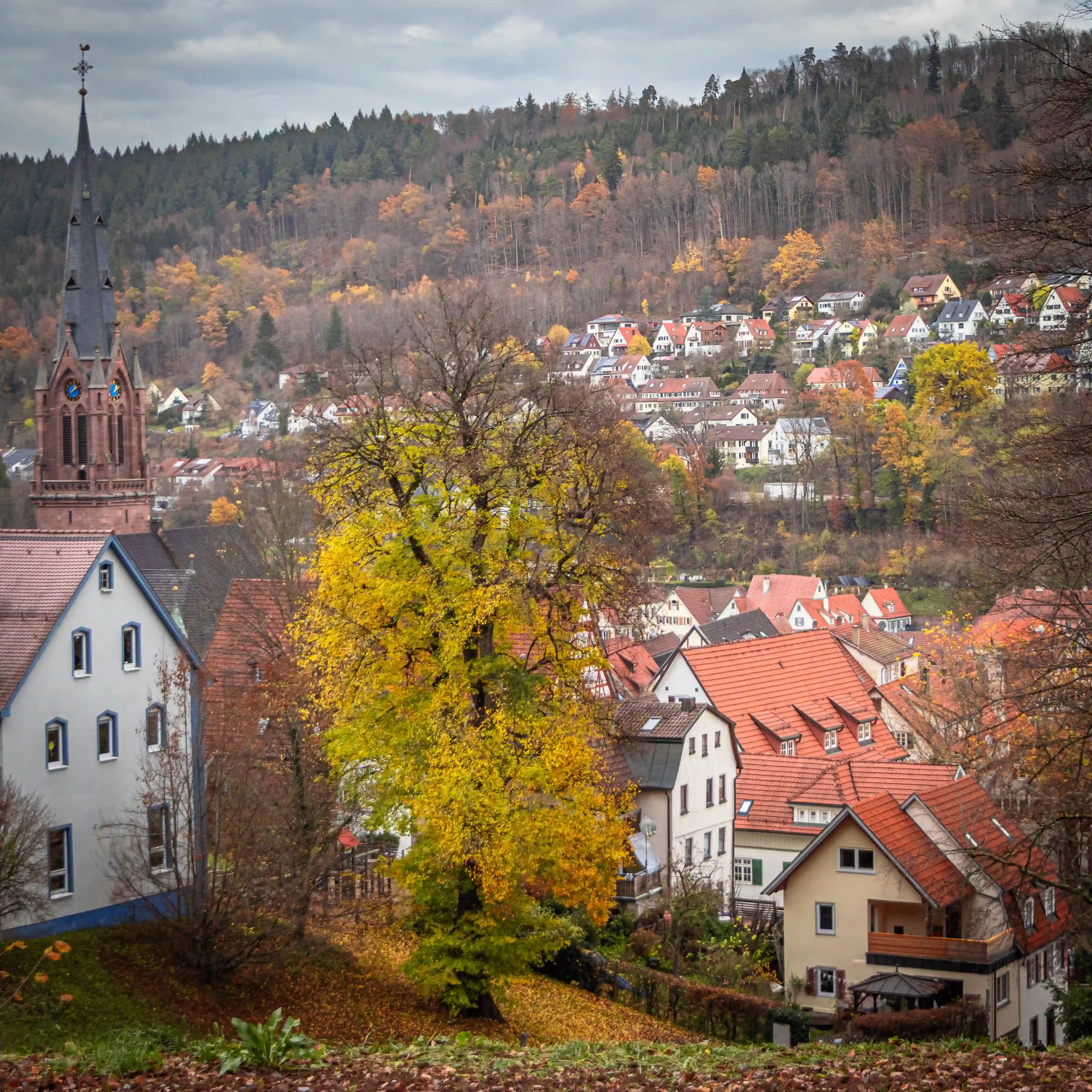 Rooftops of Calw stretch toward forested hills, with the tower of Stadtkirche St. Peter und Paul visible among the autumn trees.