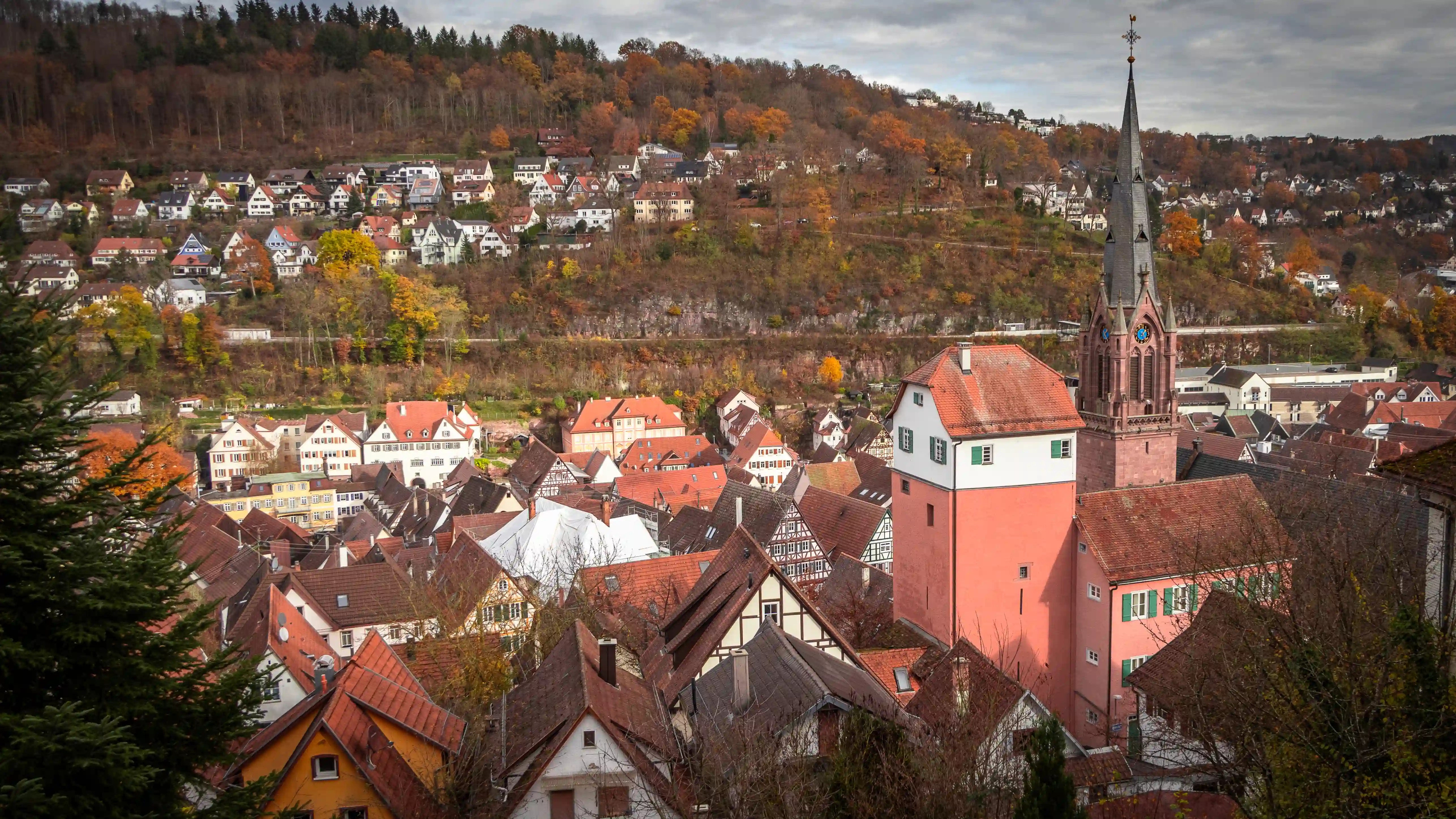 Stadtkirche St. Peter und Paul and the pink building below it stand above Calw’s rooftops with a wooded hillside in the background.
