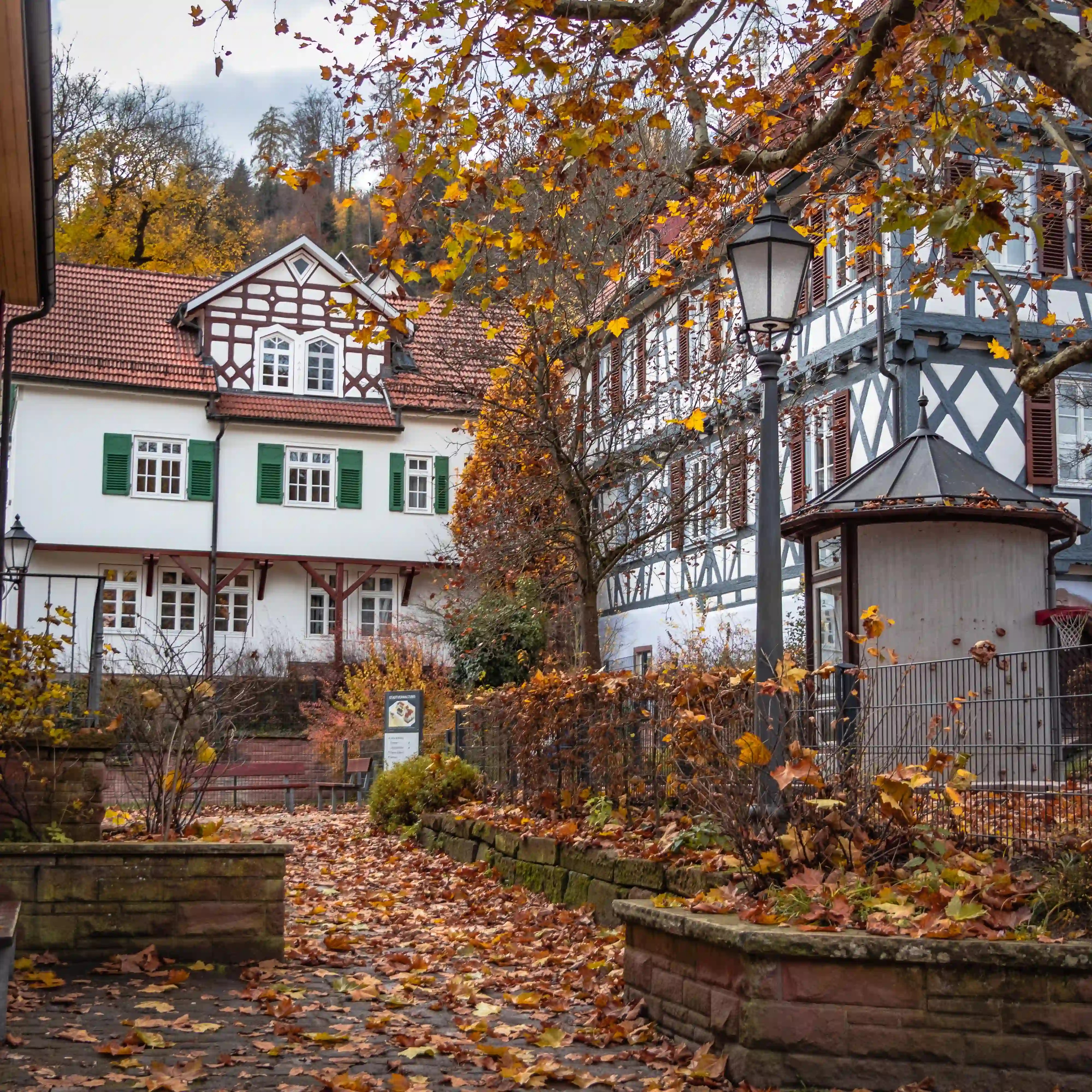 A path in Calw is covered in fallen autumn leaves and lined with half-timbered buildings and a lamppost.