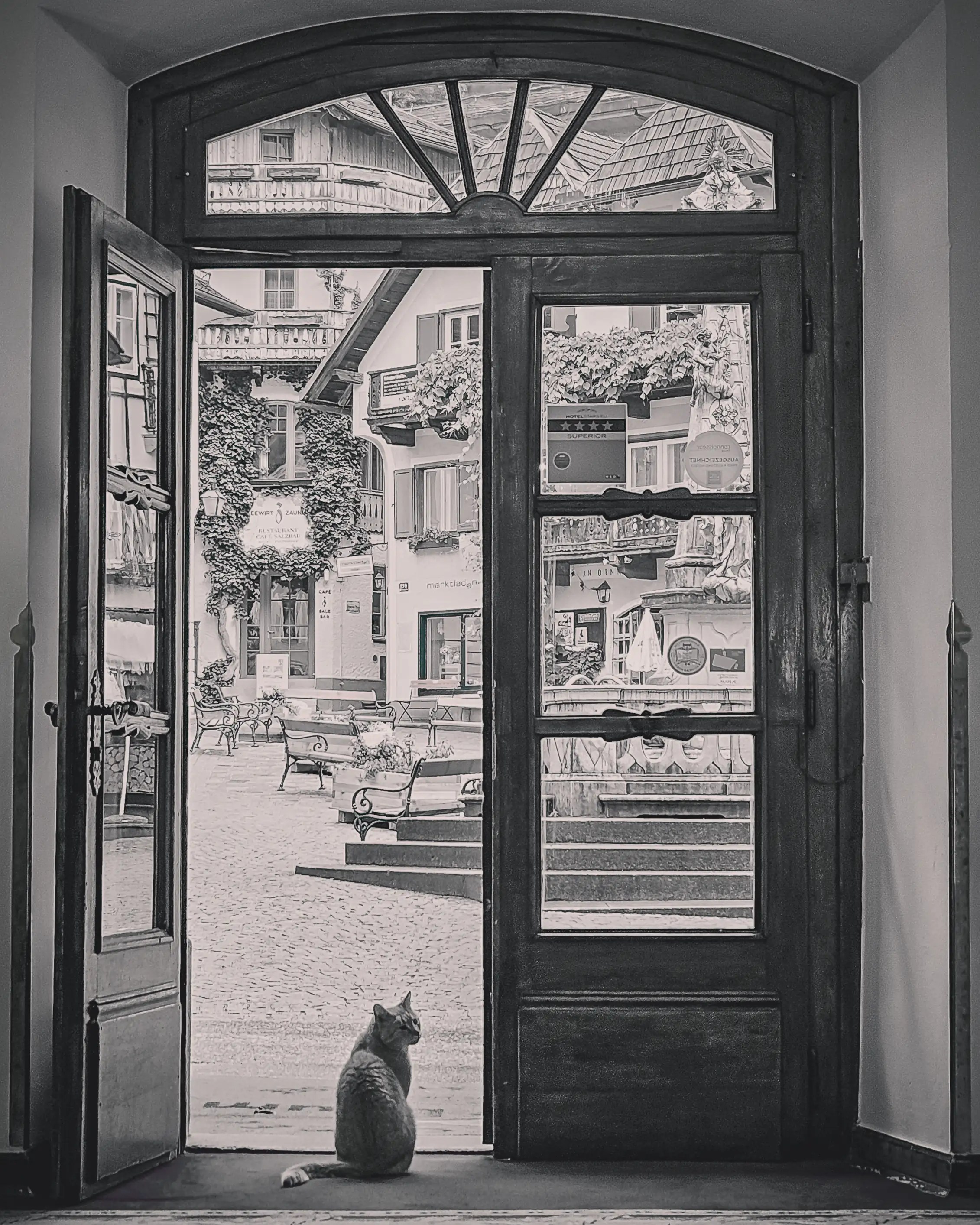 A cat sits in a doorway looking out onto Hallstatt’s quiet square in a black-and-white scene.