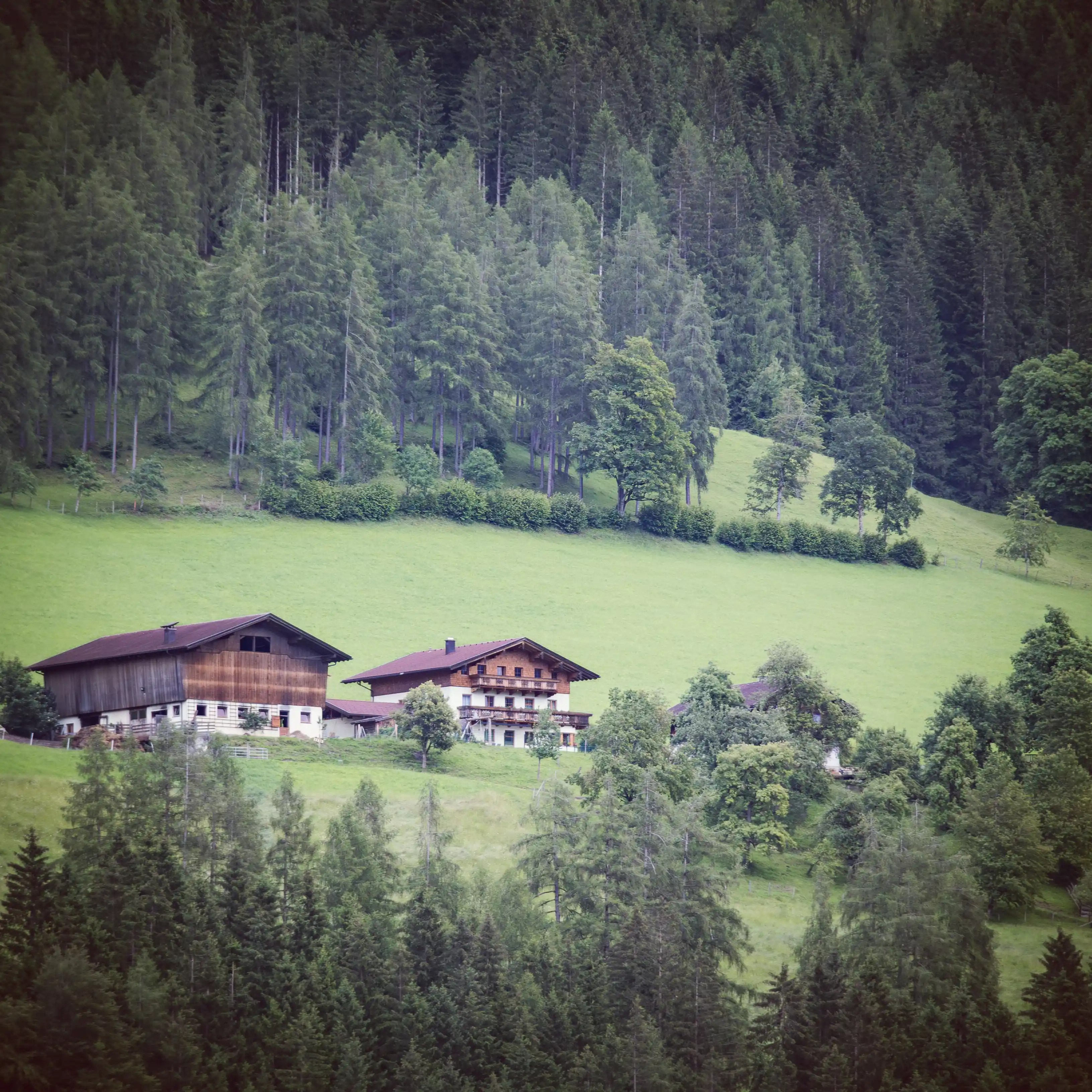 Traditional farmhouses sit on a grassy hillside bordered by dense evergreen forest below Burg Hohenwerfen.
