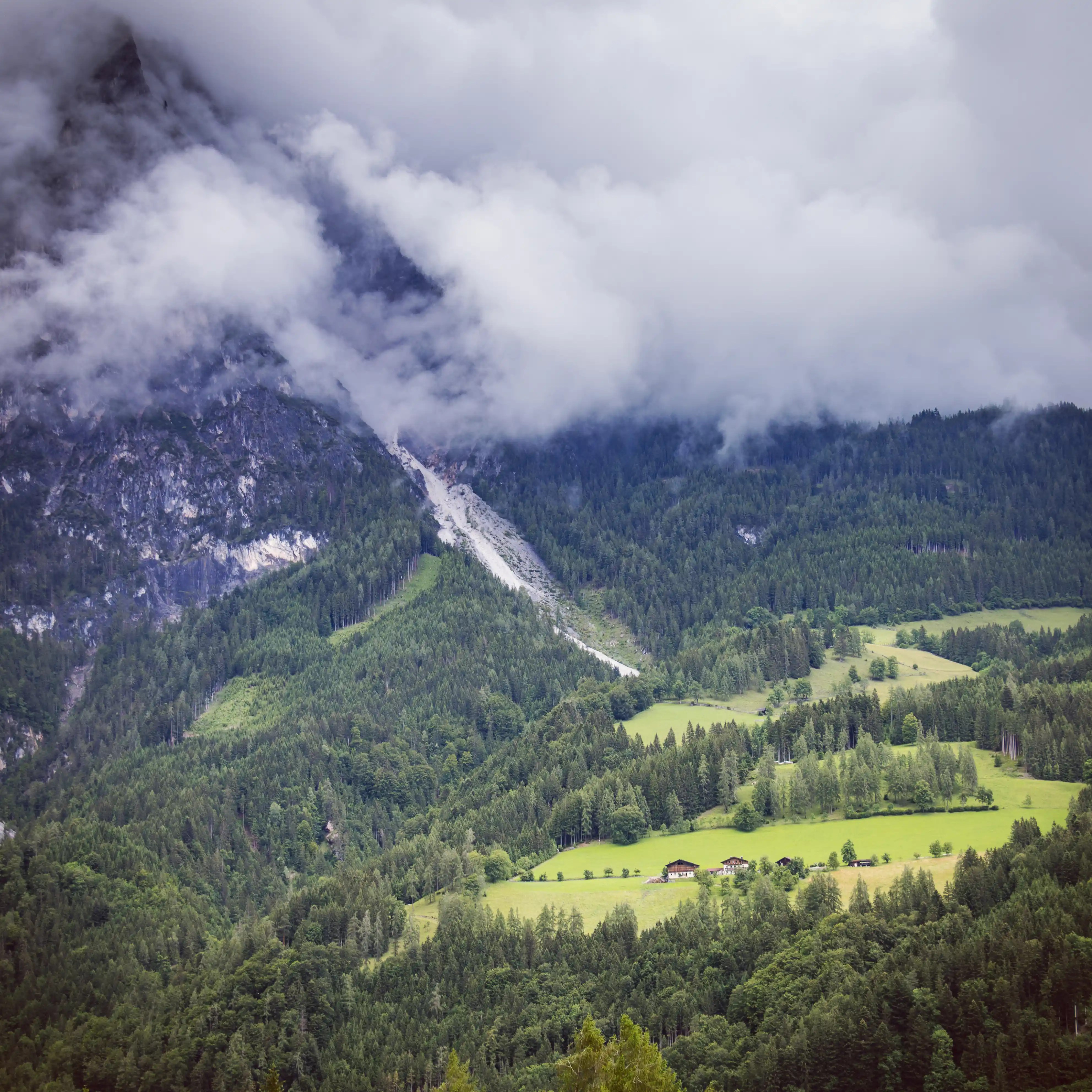 A steep Alpine mountainside covered in dense forest and bright green meadows sits beneath thick, low-hanging clouds.