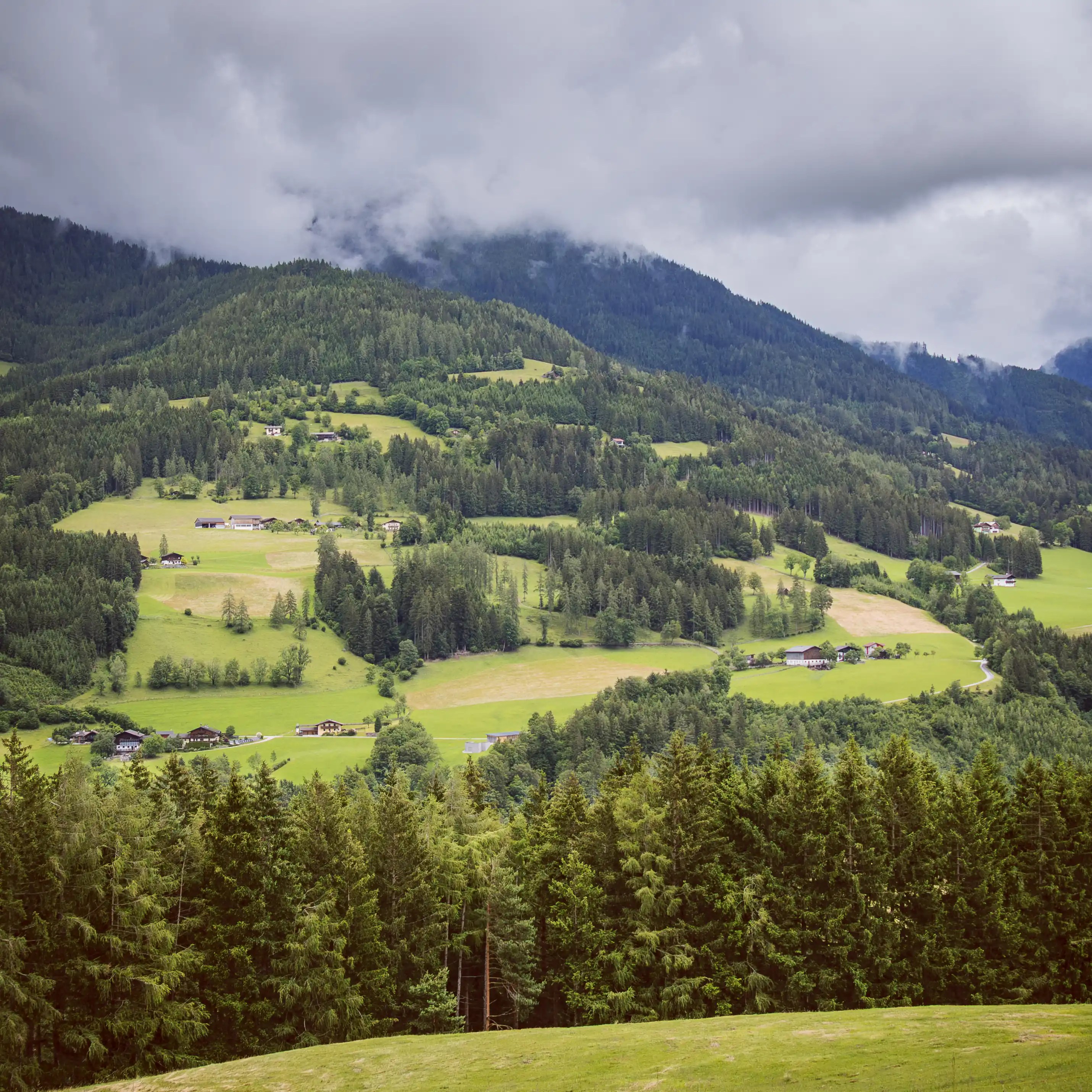 Rolling green hills dotted with farmhouses and forests rise toward cloud-covered mountain peaks in the Austrian Alps.
