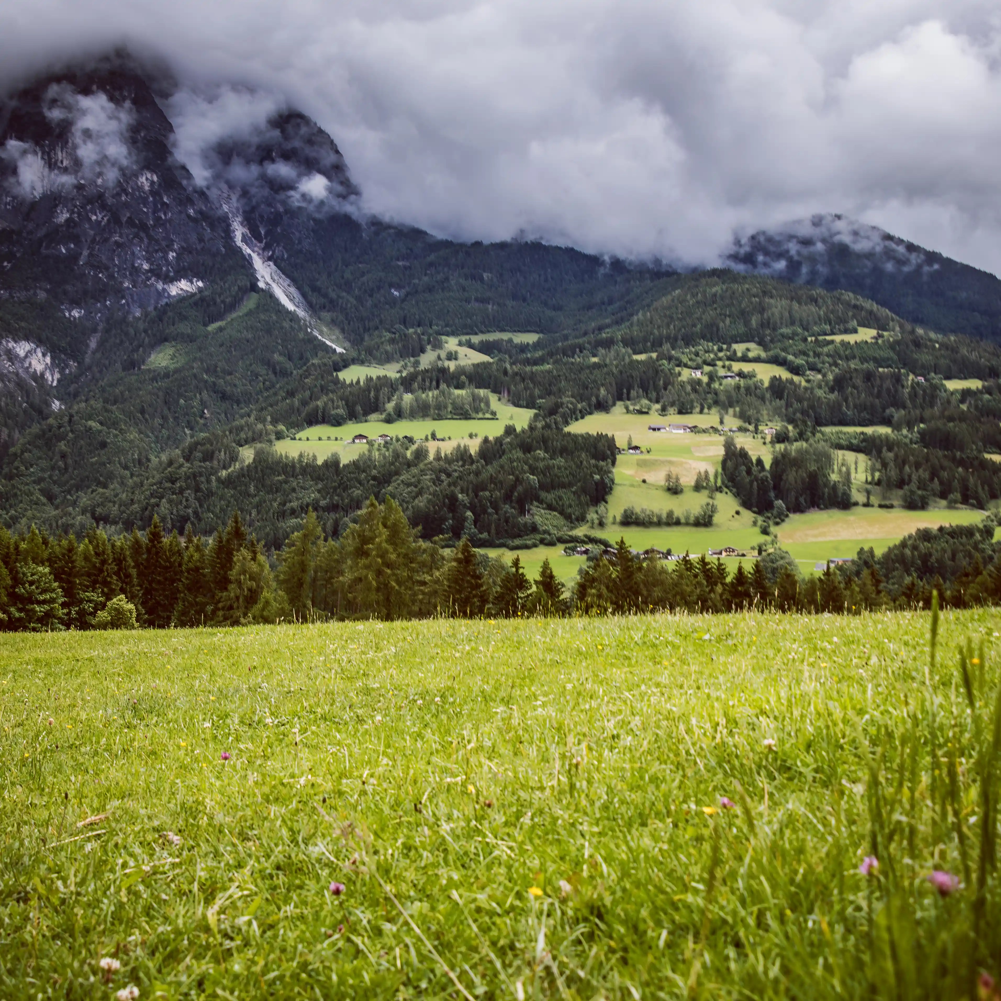 A grassy hillside in the foreground leads toward forested mountains and bright green meadows beneath heavy gray clouds.