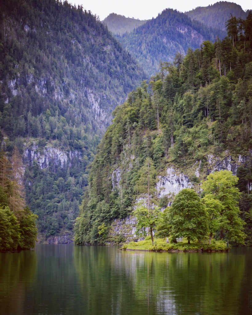 Steep forested cliffs rise directly from the dark green water of Königssee, with rocky faces visible through the trees.