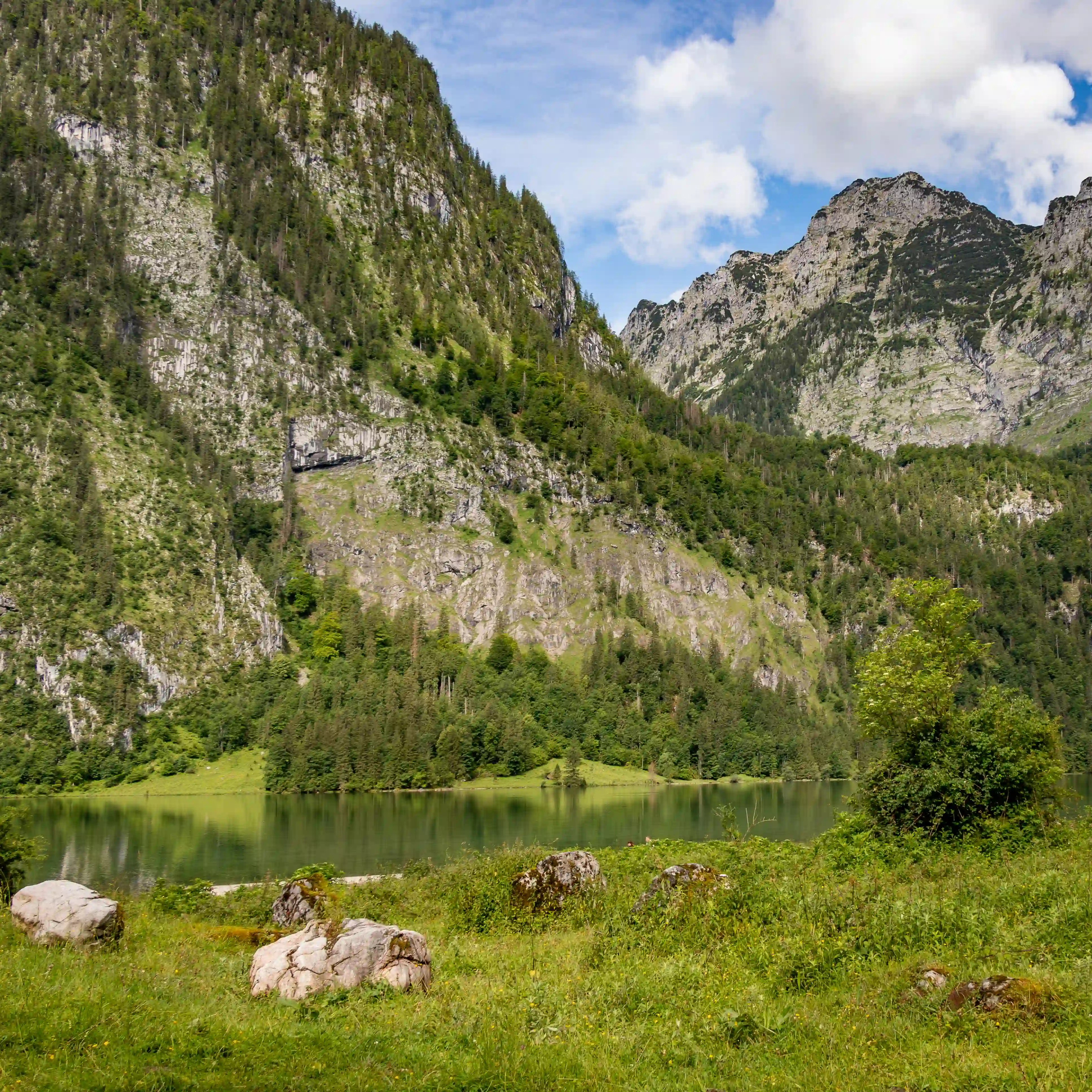 A grassy alpine meadow stretches below a steep rocky mountainside rising above Königssee.
