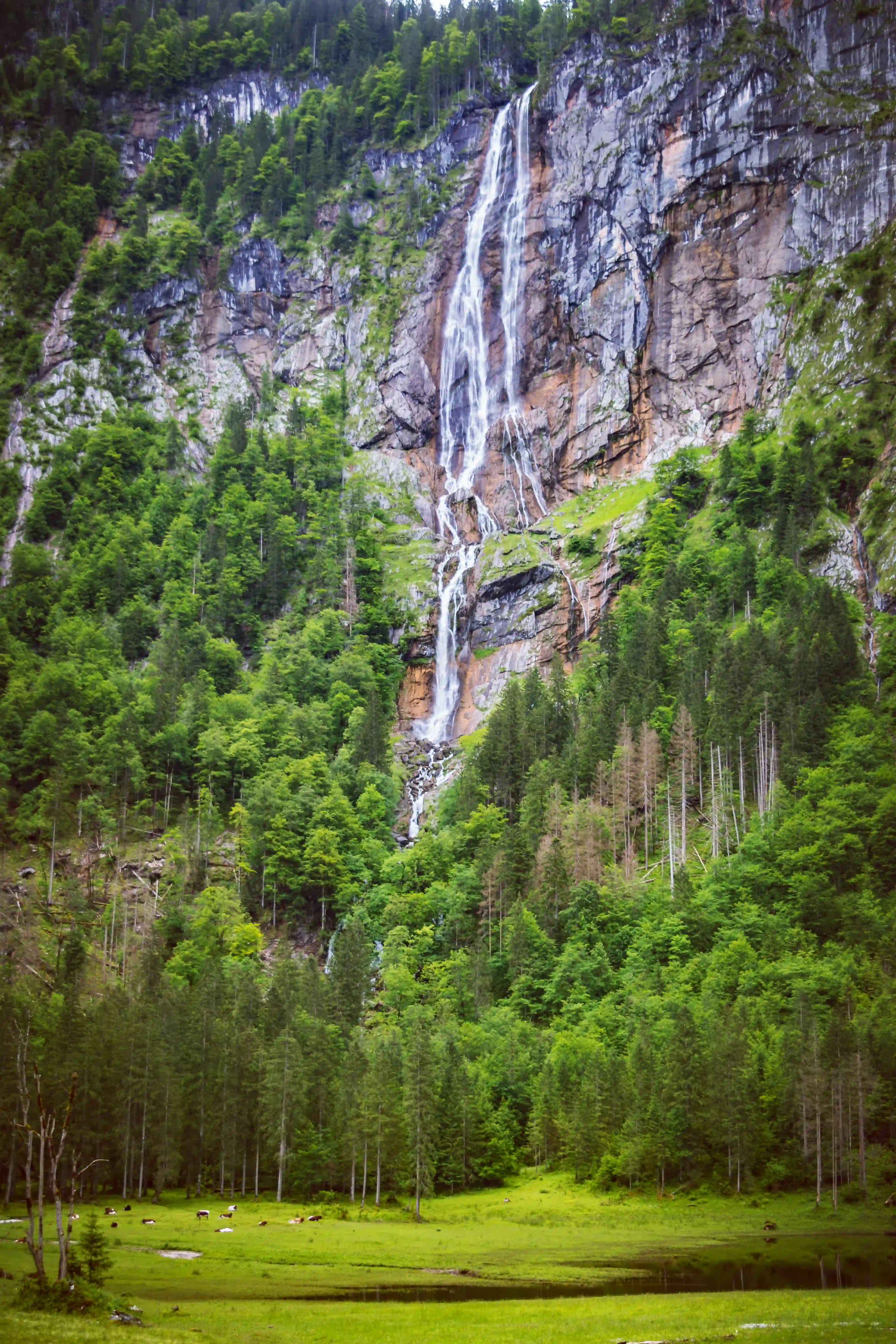 A tall waterfall plunges down a sheer rock face into a grassy valley below, surrounded by dense forest.