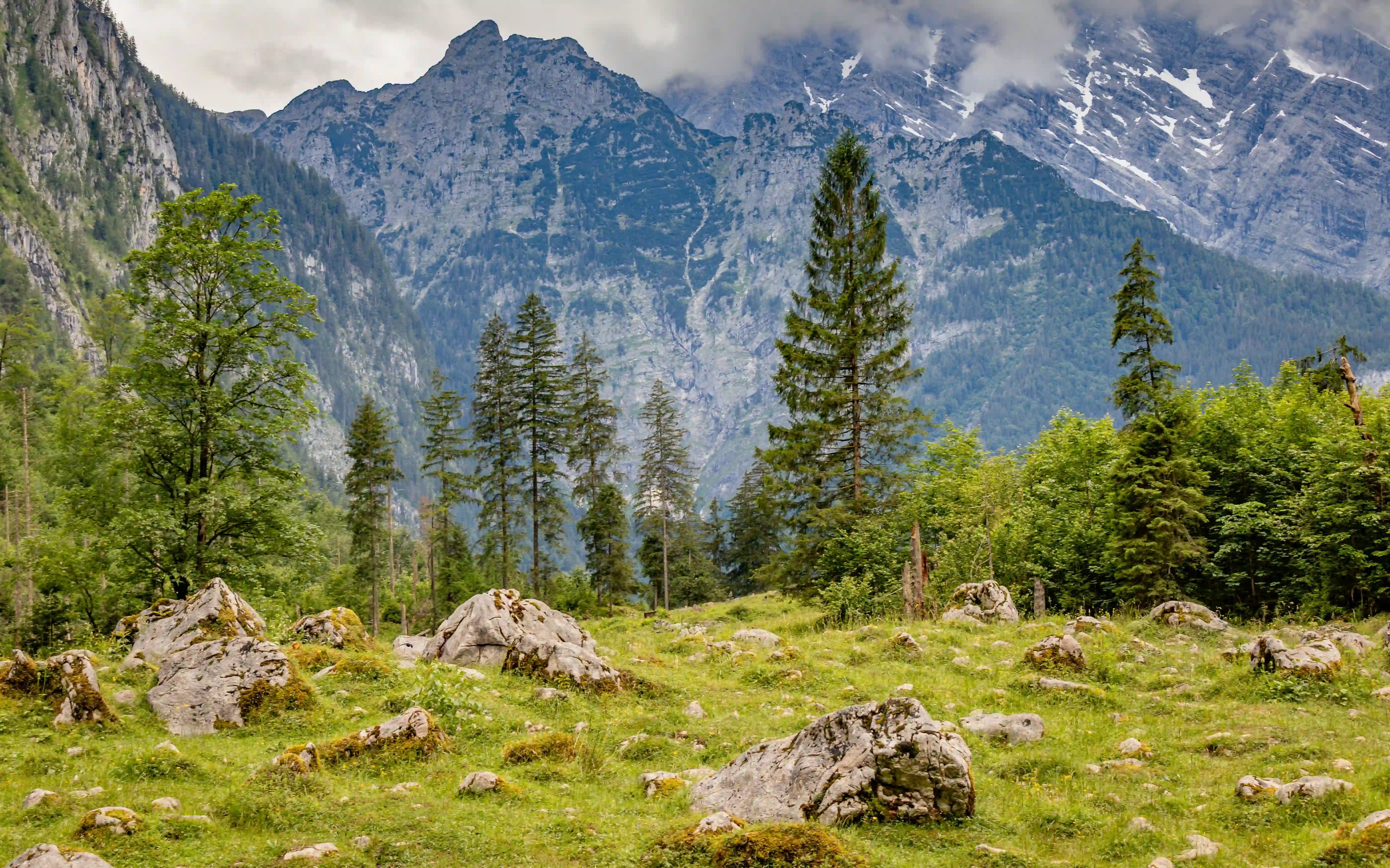 A rocky alpine meadow dotted with moss-covered stones sits below forested slopes and jagged mountain peaks under low clouds.