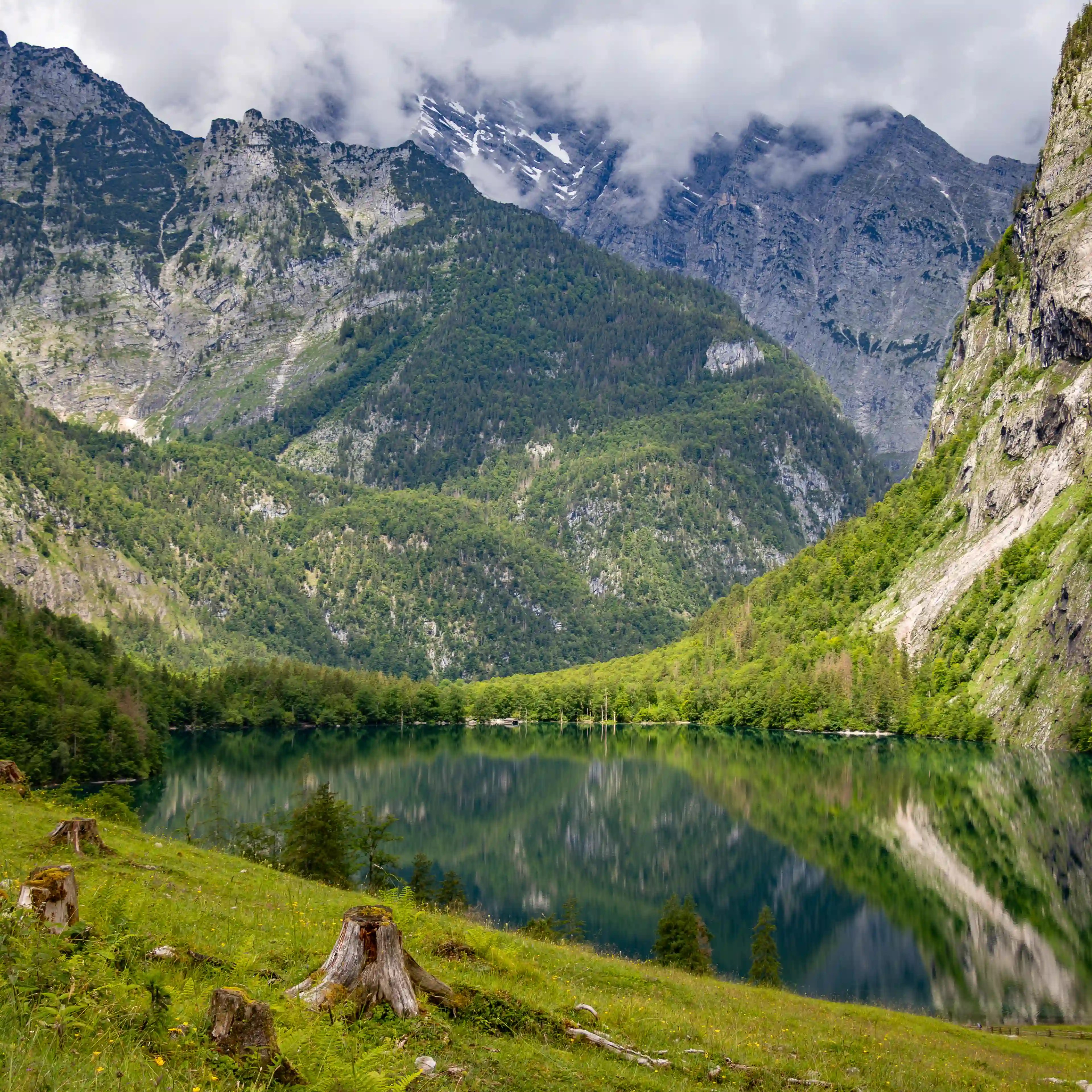 A calm alpine lake reflects steep, forested mountains and rocky peaks under low clouds, with grassy meadow and tree stumps in the foreground at Obersee.