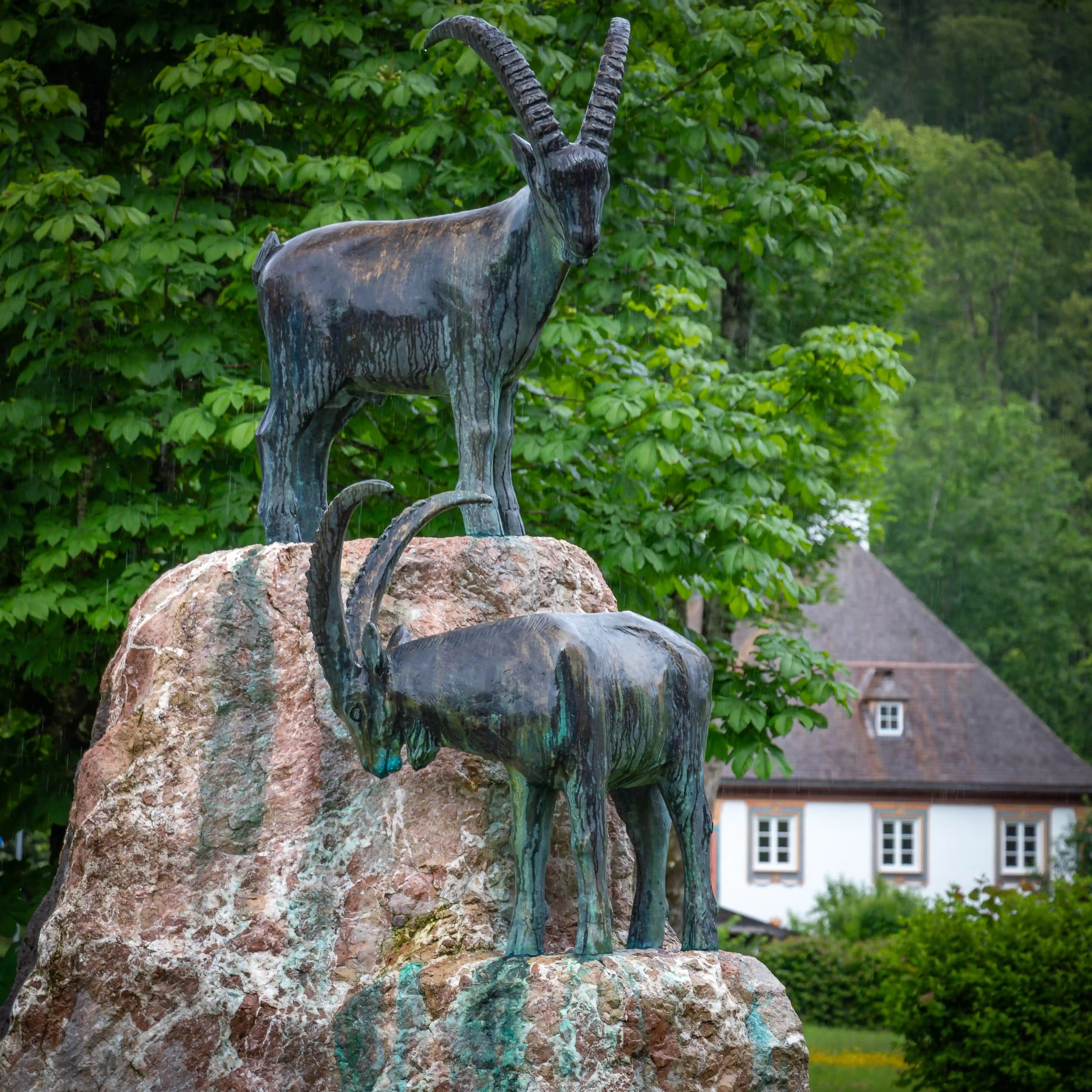 A bronze ibex statue stands on a stone pedestal surrounded by greenery, with alpine trees and buildings in the background.