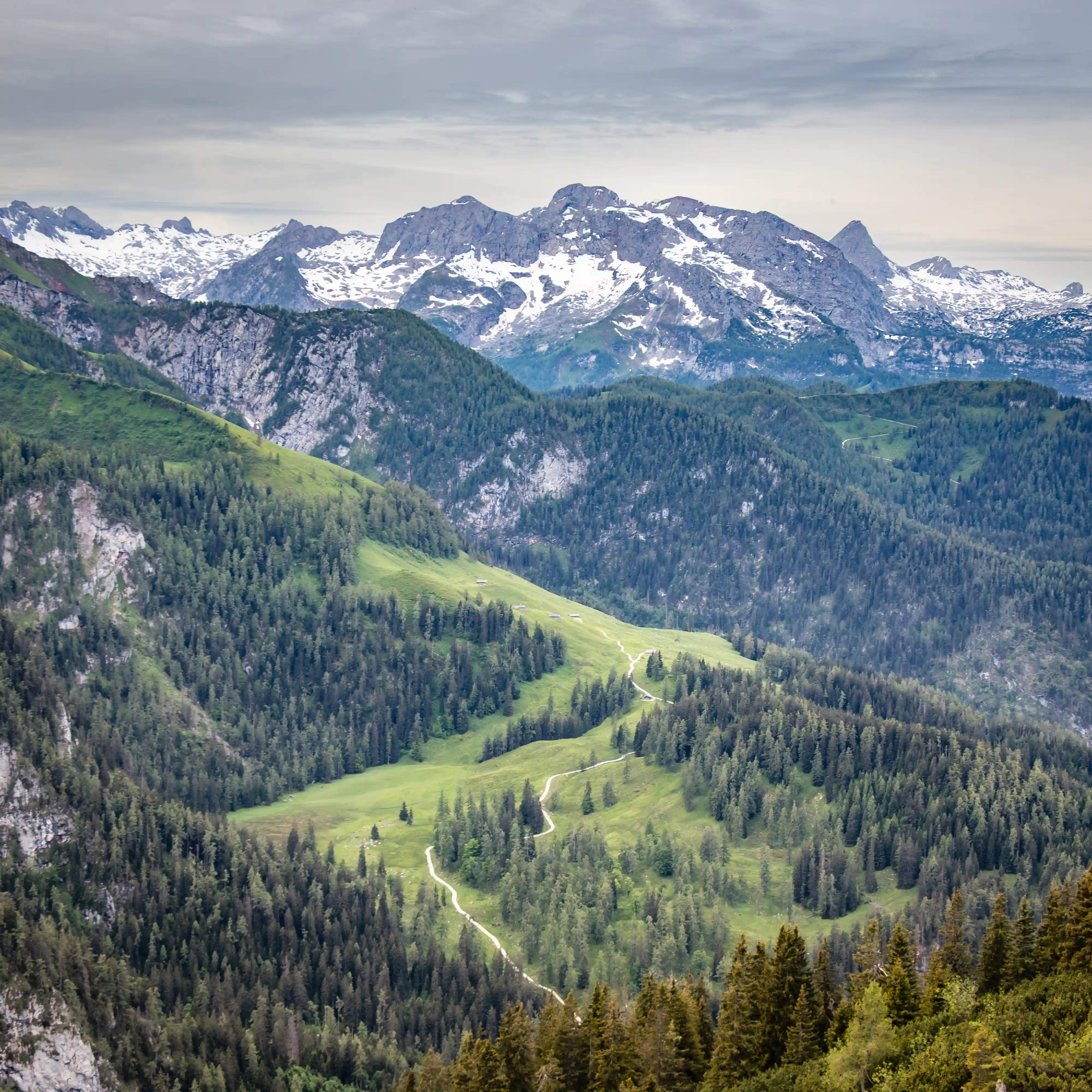 A sweeping alpine valley of rolling green meadows and dark evergreen forests stretches toward rugged, snow-dusted mountain peaks under a cloudy sky.