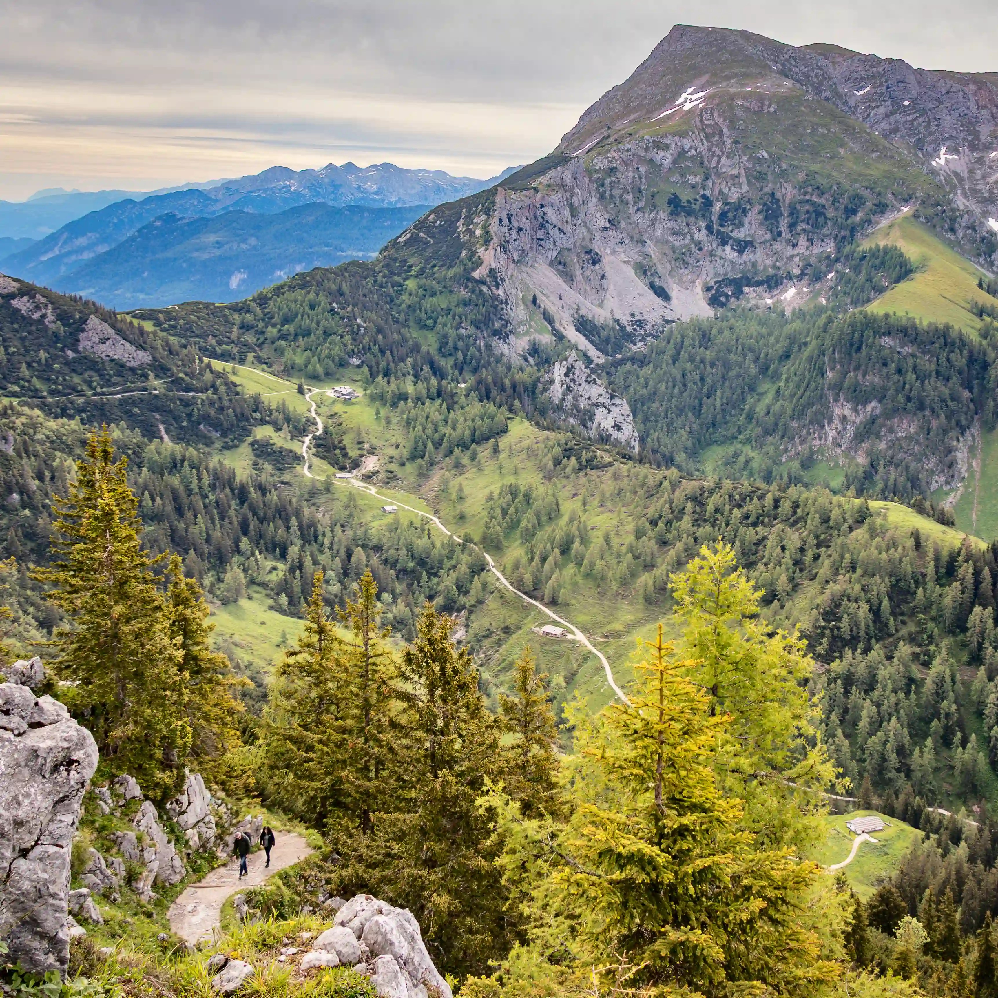 Two hikers walk along a narrow mountain trail surrounded by trees, with a wide alpine valley and rugged peaks in the background.
