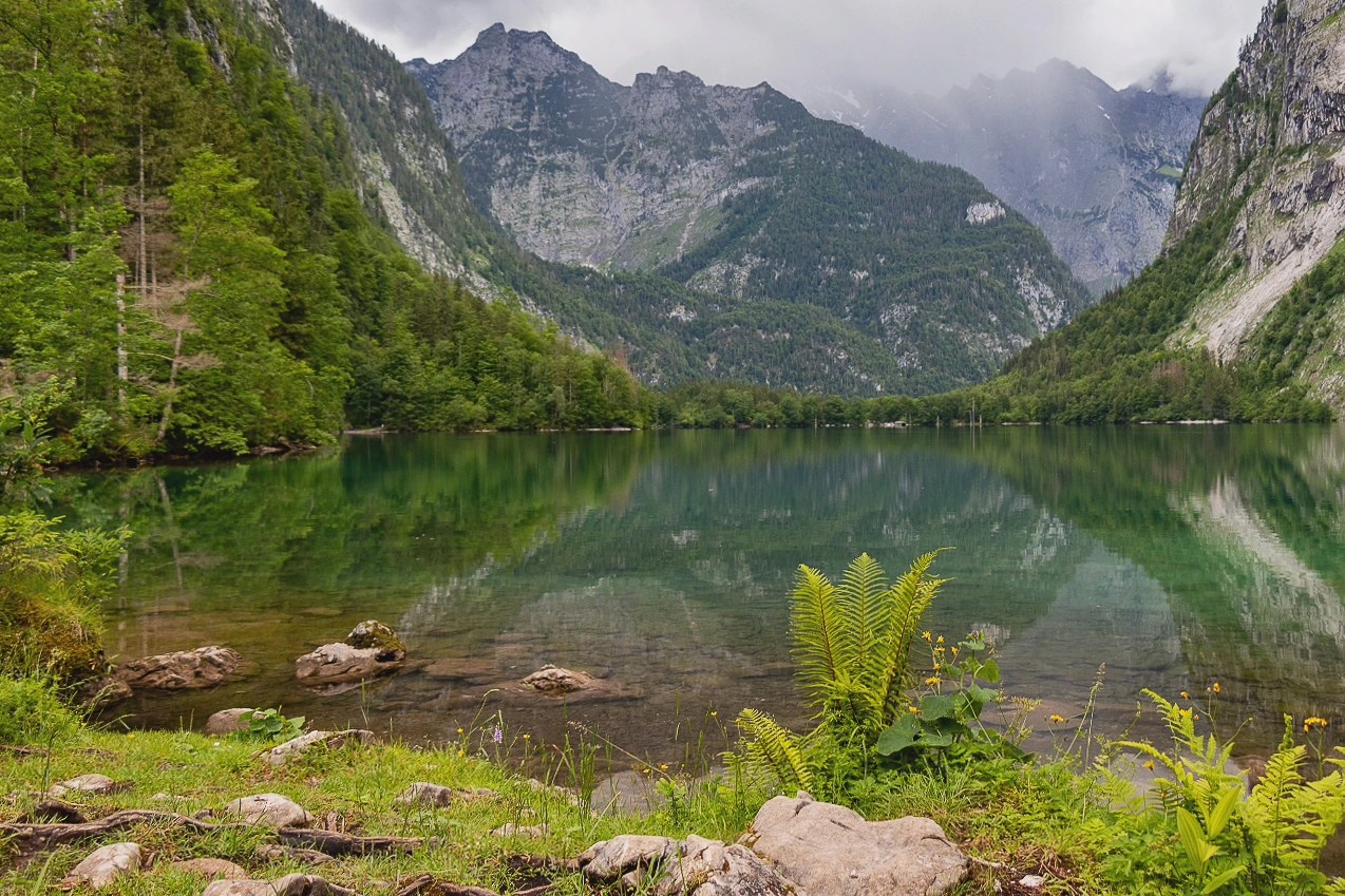 Clear, still water reflects forested slopes and rocky mountain walls along the edge of Obersee.