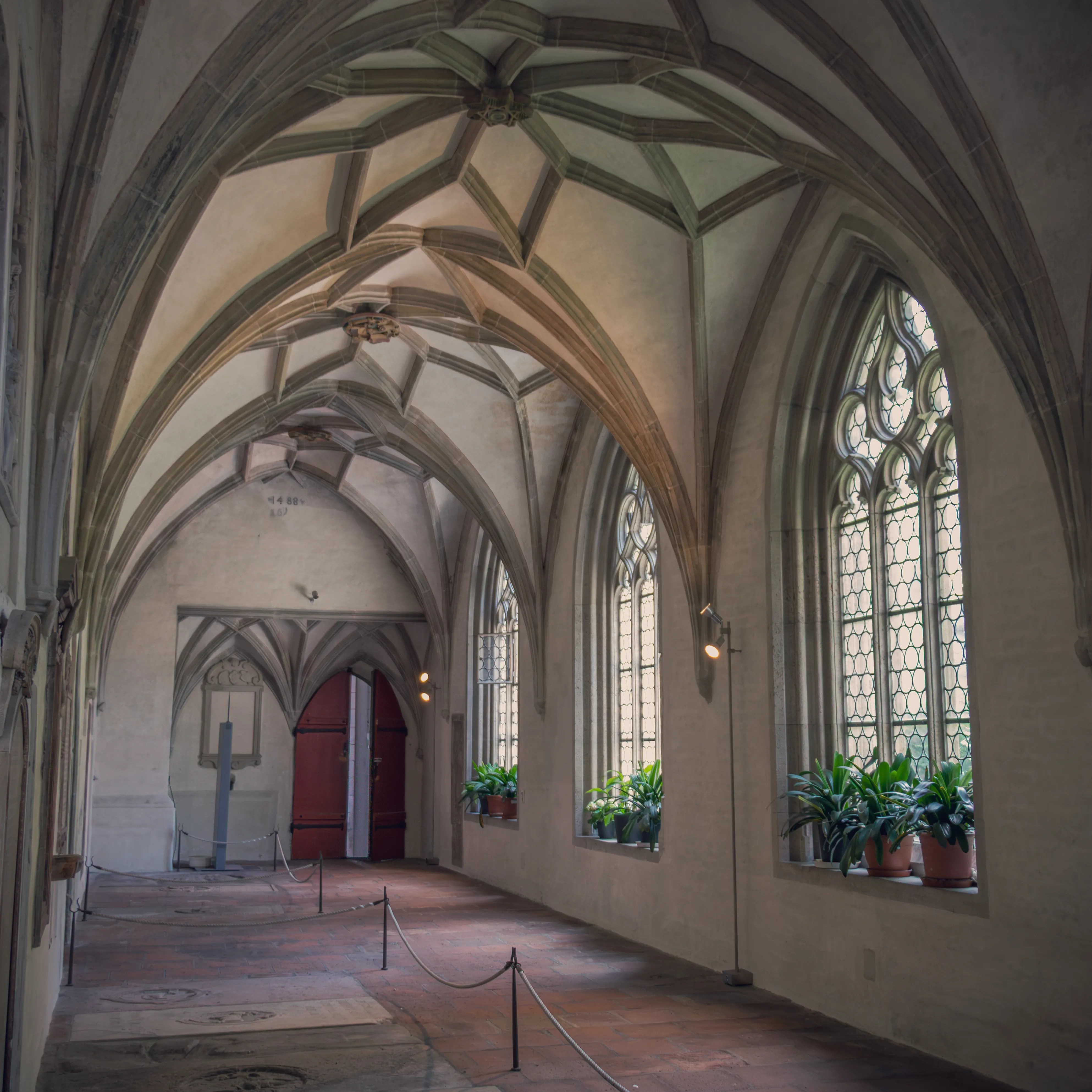A vaulted cloister corridor at Augsburg Cathedral with ribbed stone ceilings, arched windows, and potted plants along the walls.