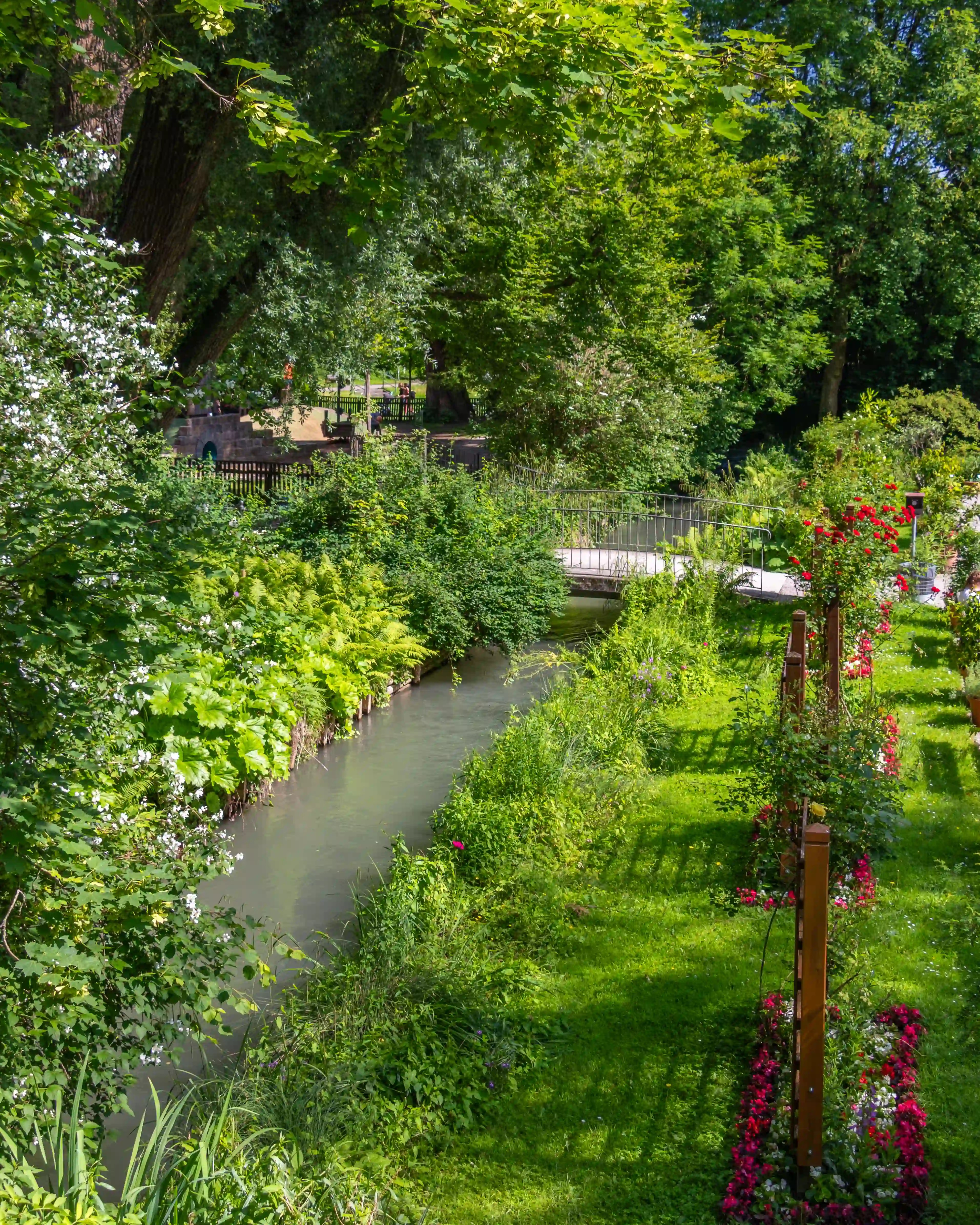 A small canal in Augsburg bordered by lush greenery, flowers, and a narrow footbridge.