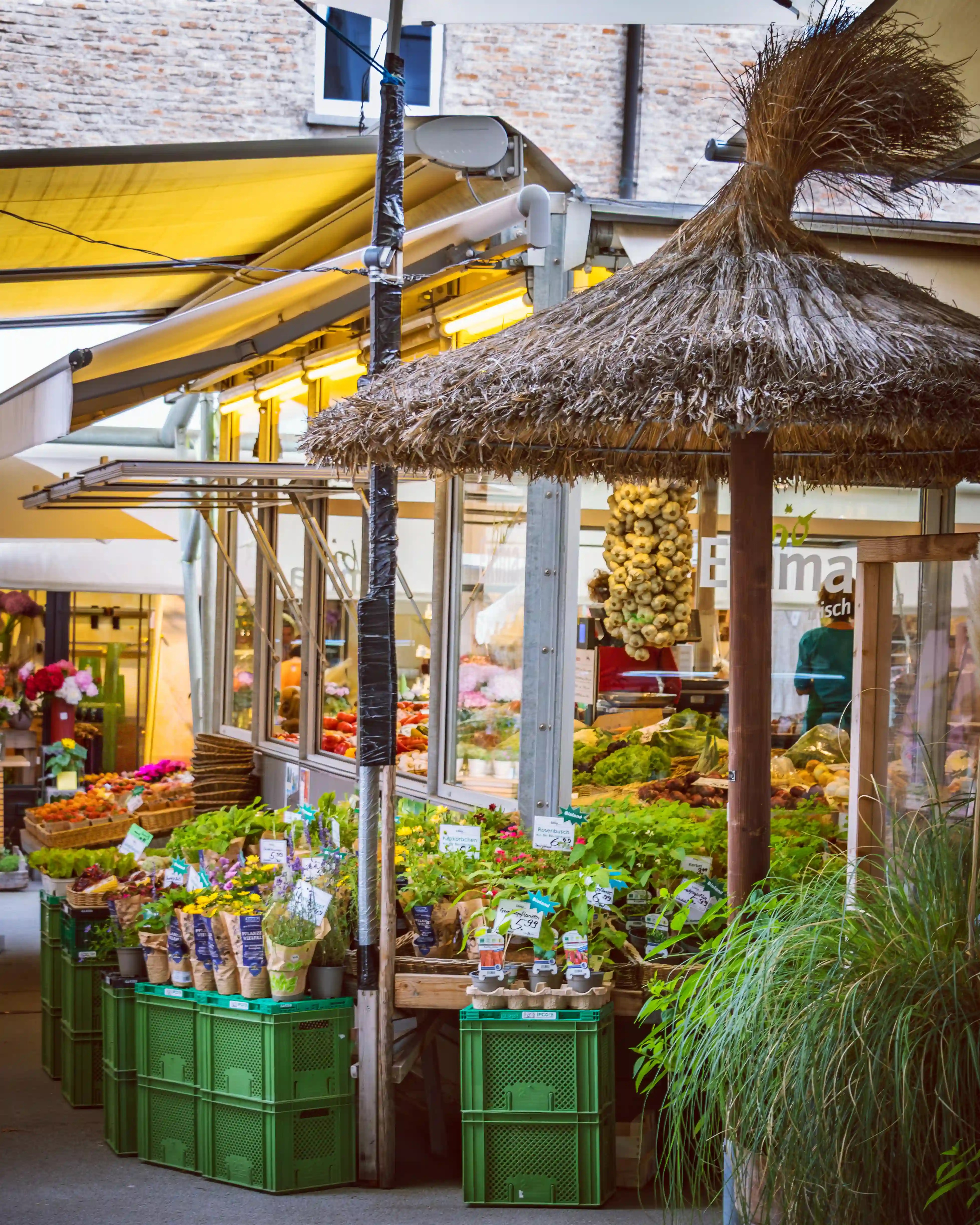 A flower and produce stall at an outdoor market in Augsburg with potted plants, vegetables, and a straw-covered umbrella.