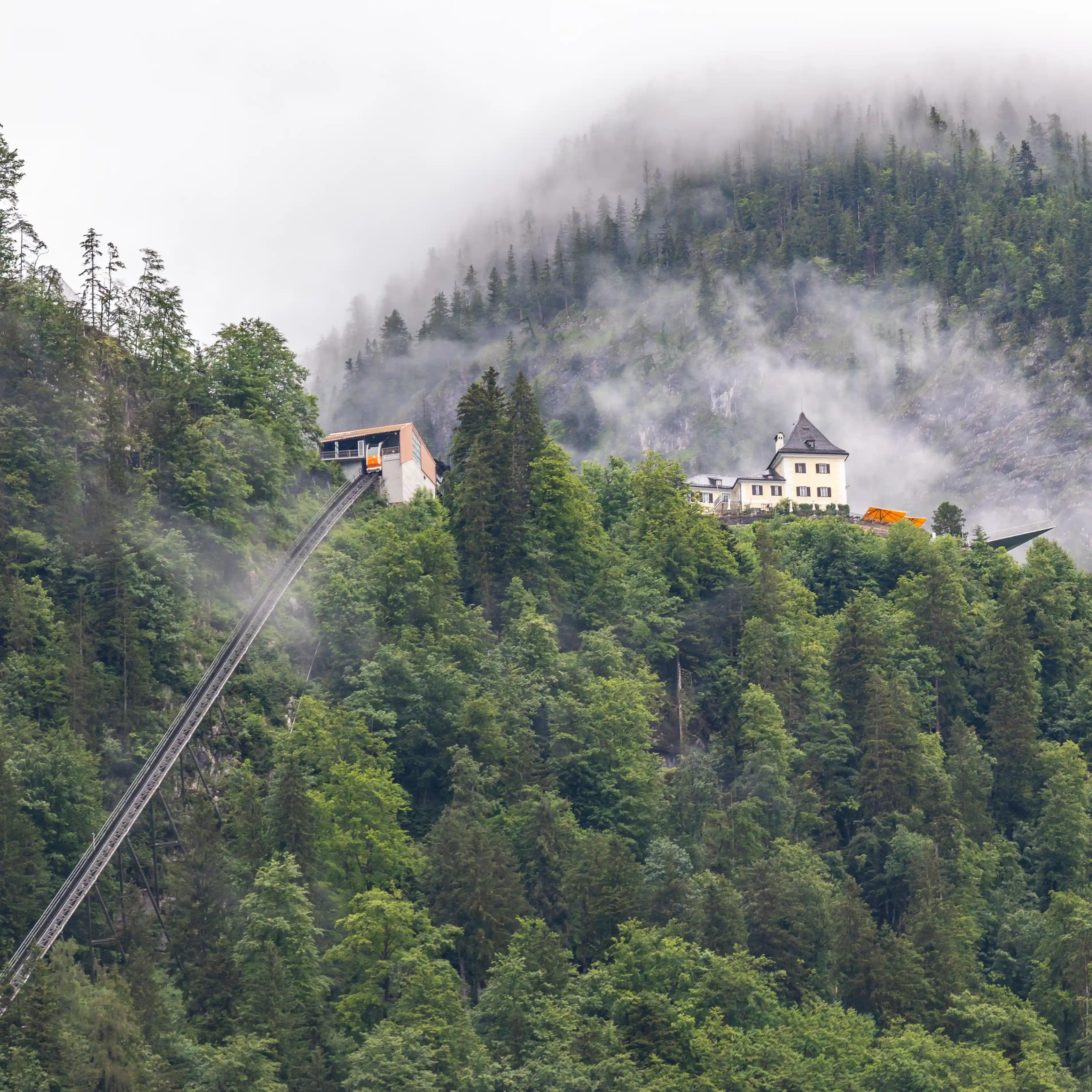 Forested hillside with the funicular track and a small building near the top, surrounded by trees and mist.