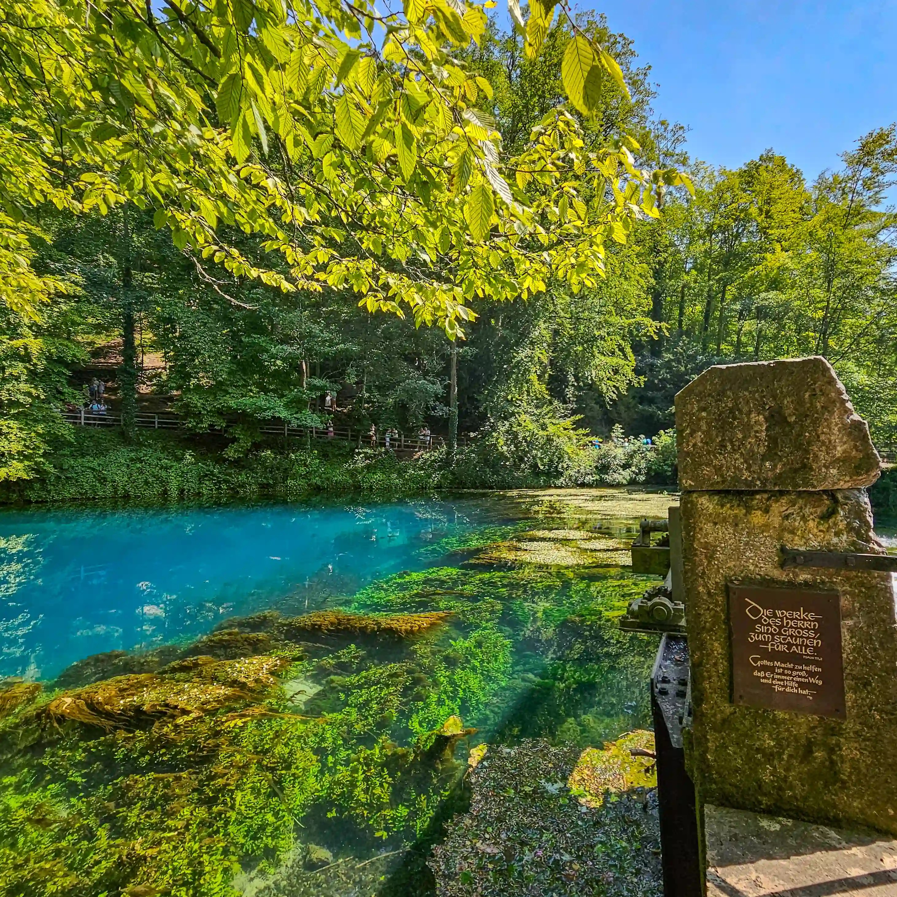 The bright blue Blautopf is framed by leafy branches, with a stone structure and plaque visible along the water’s edge.