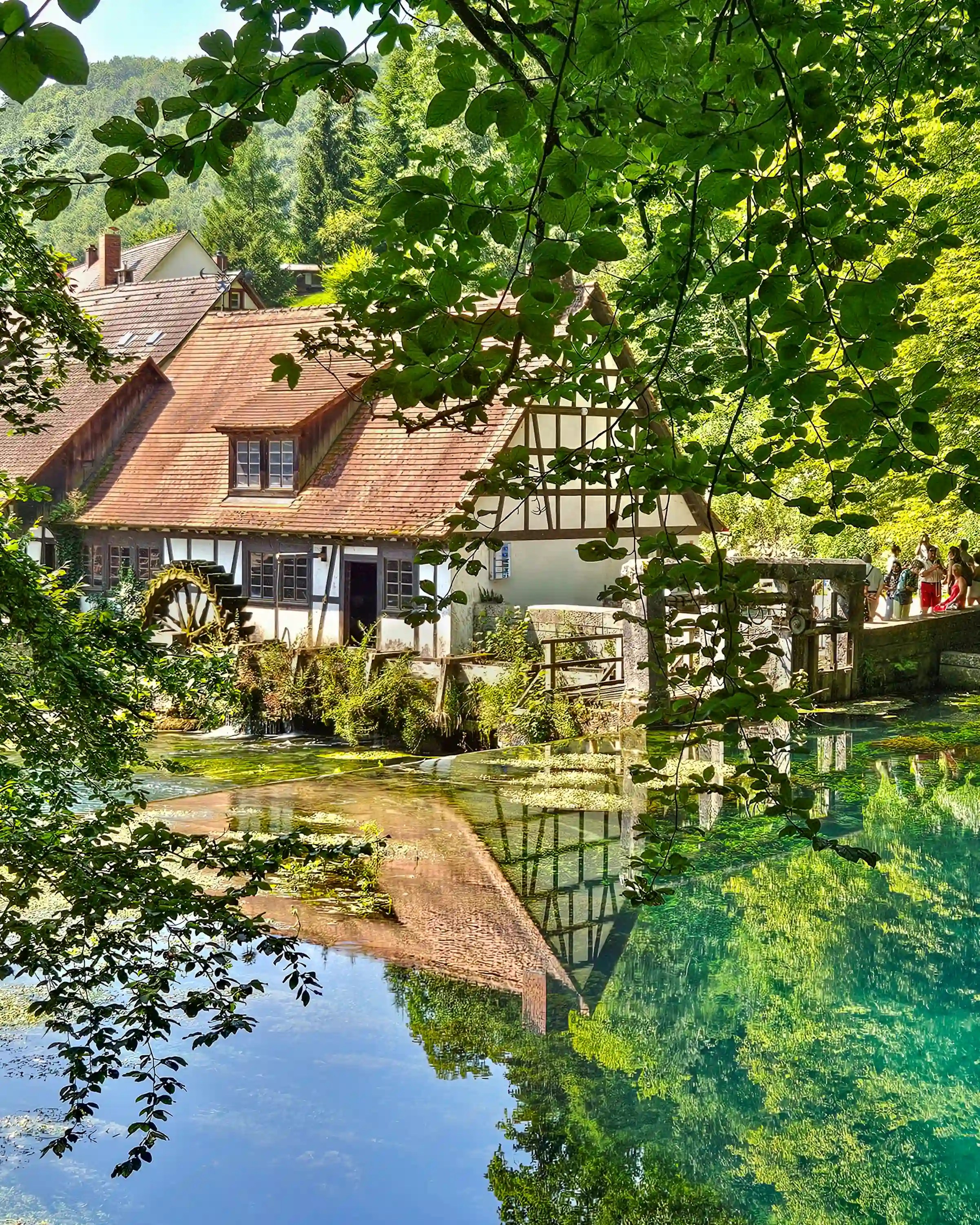 A closer view of the half-timbered Blautopf mill shows its wooden water wheel turning beside the clear water.