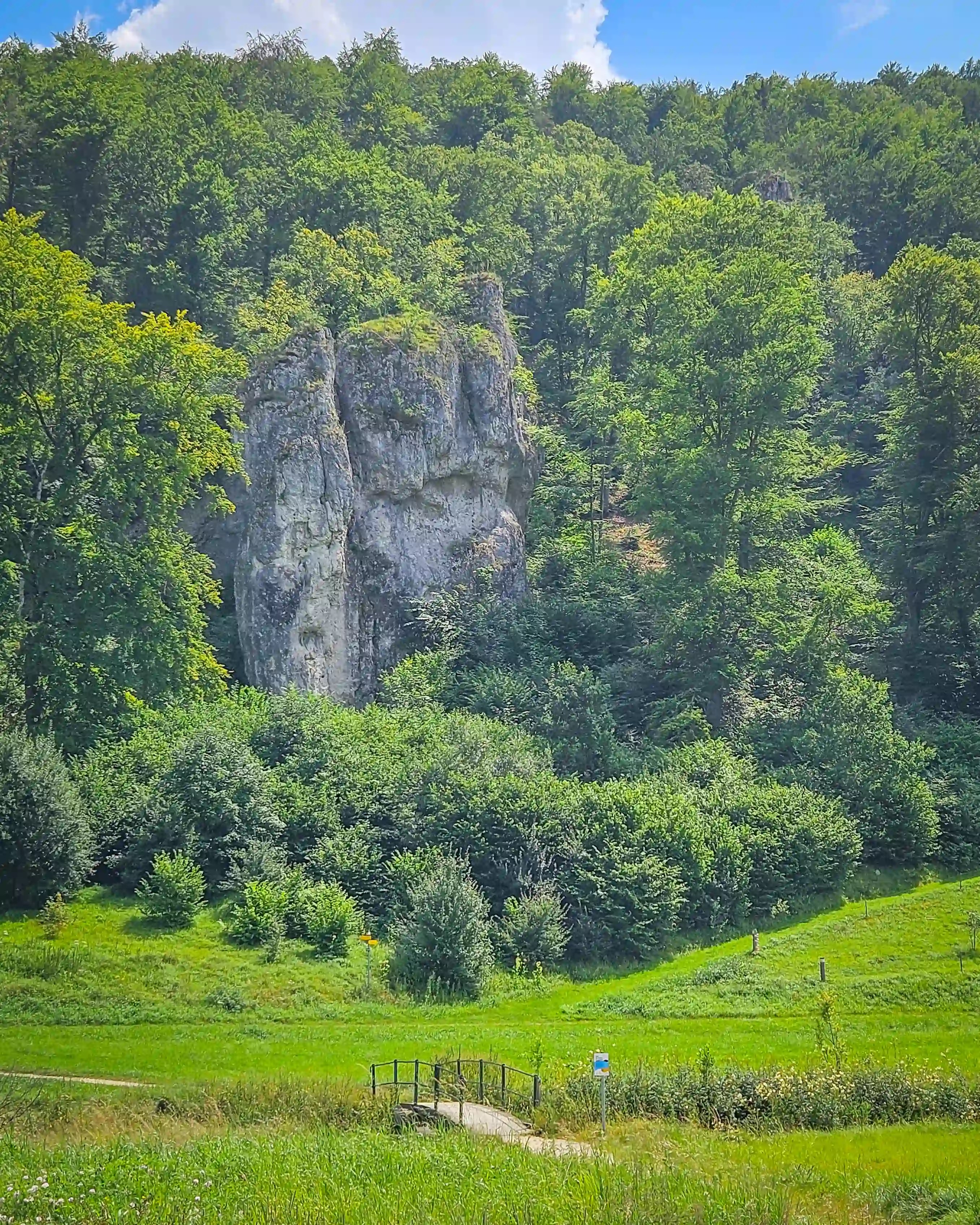 A tall limestone rock formation rises from a grassy meadow, backed by dense green forest under a blue summer sky.