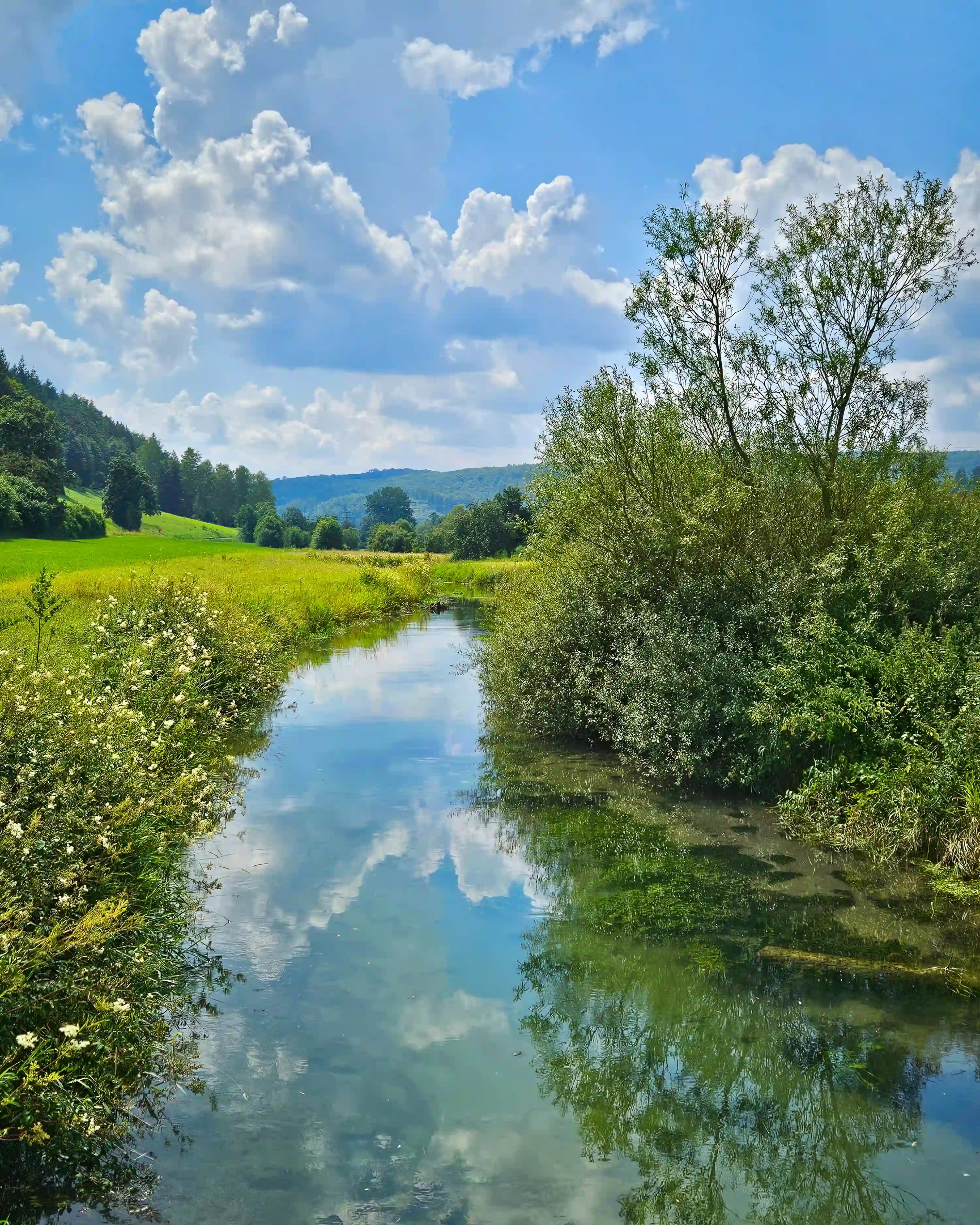 A narrow, clear stream reflects bright white clouds and blue sky as it winds through green fields and shrubs.