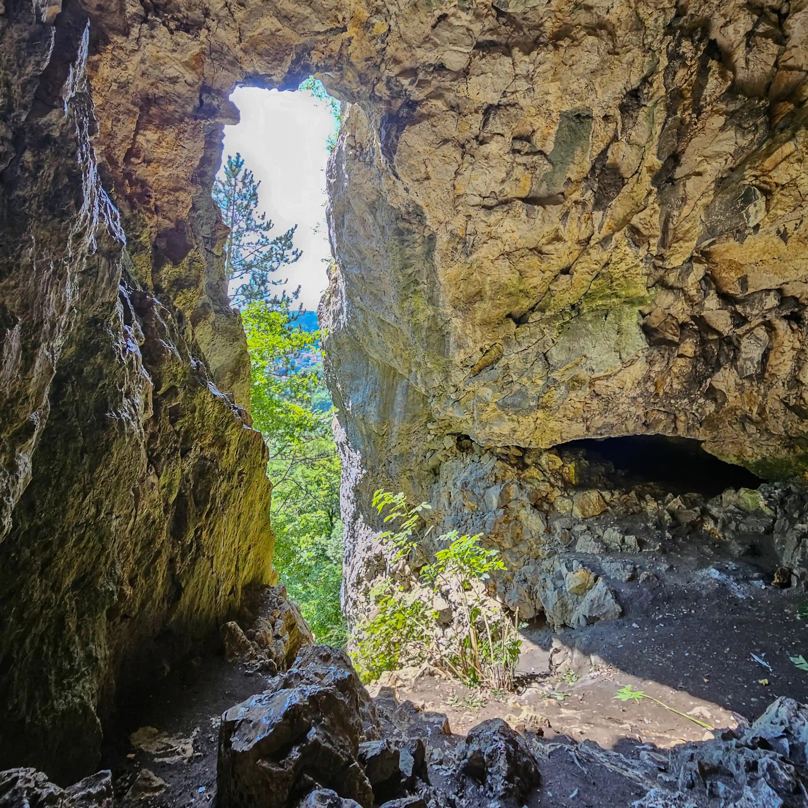 A narrow rock passage opens to a steep drop with green trees and valley views visible through a tall vertical gap in the limestone.