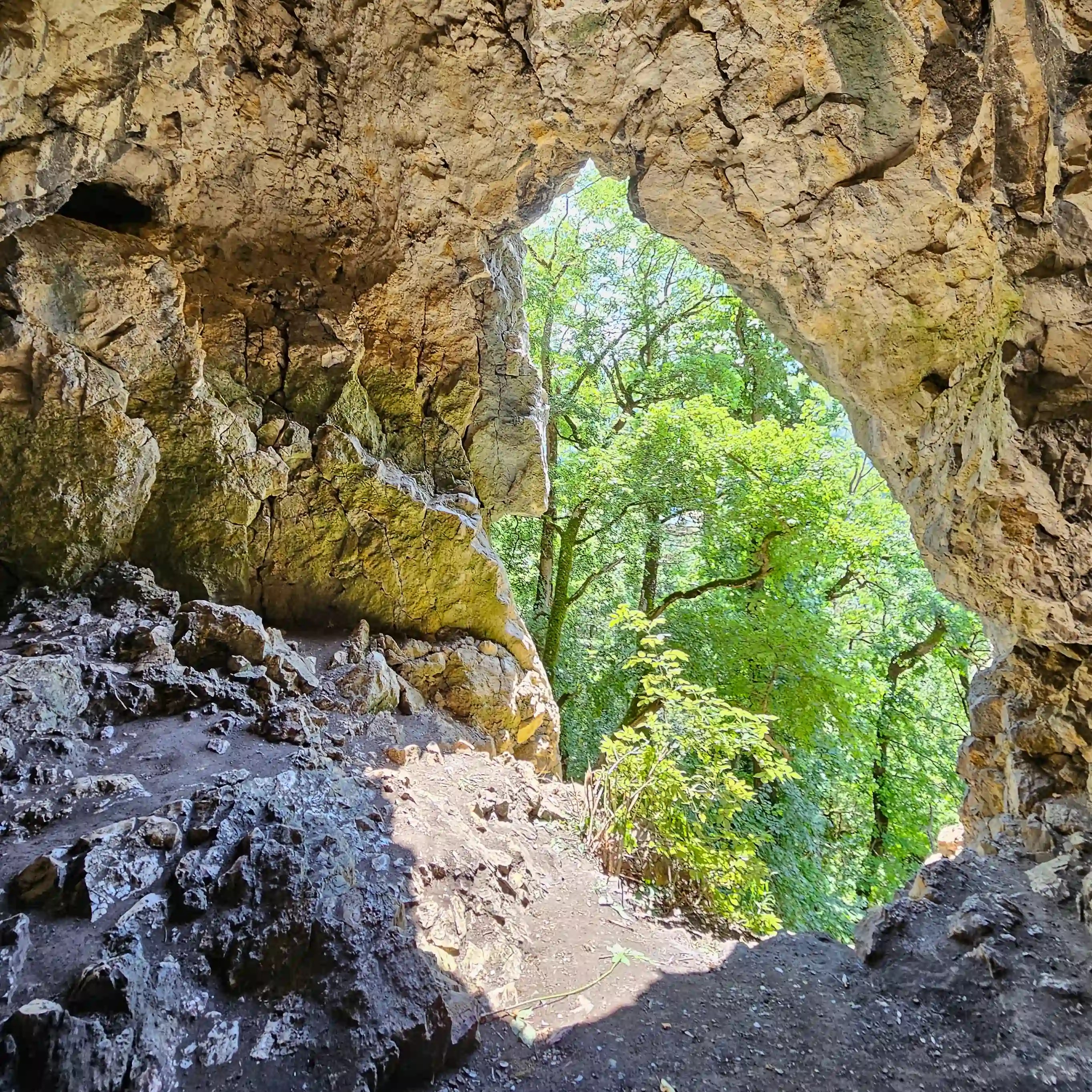 An arched rock opening frames bright green trees and forest outside, with uneven stone ground and rocky walls inside the cave.