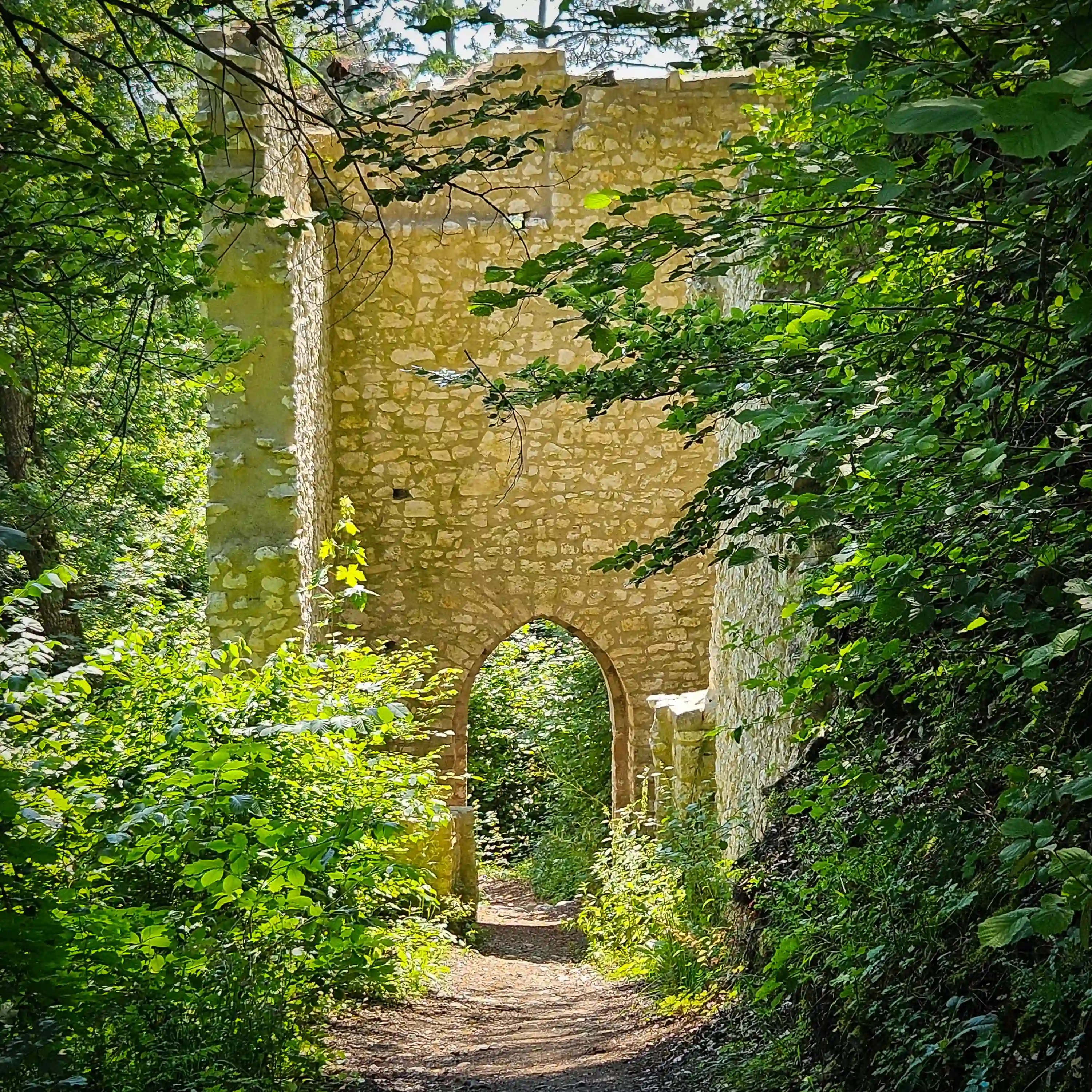 A stone archway from the ruins of Schloss Hohengerhausen stands along a narrow forest path surrounded by dense green foliage.