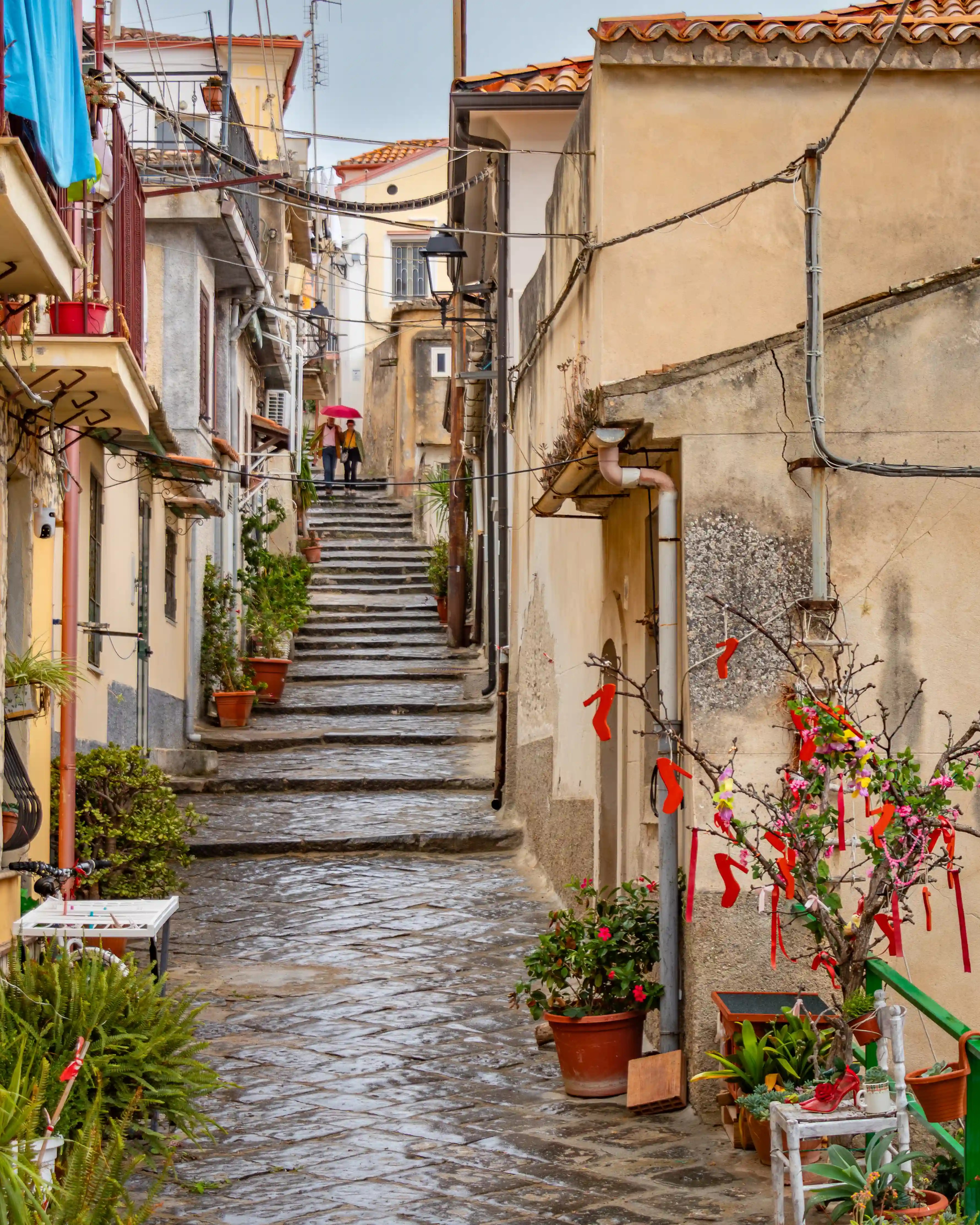 A narrow stone street with steps leading uphill, lined with buildings, potted plants, and a small tree decorated with red ribbons.