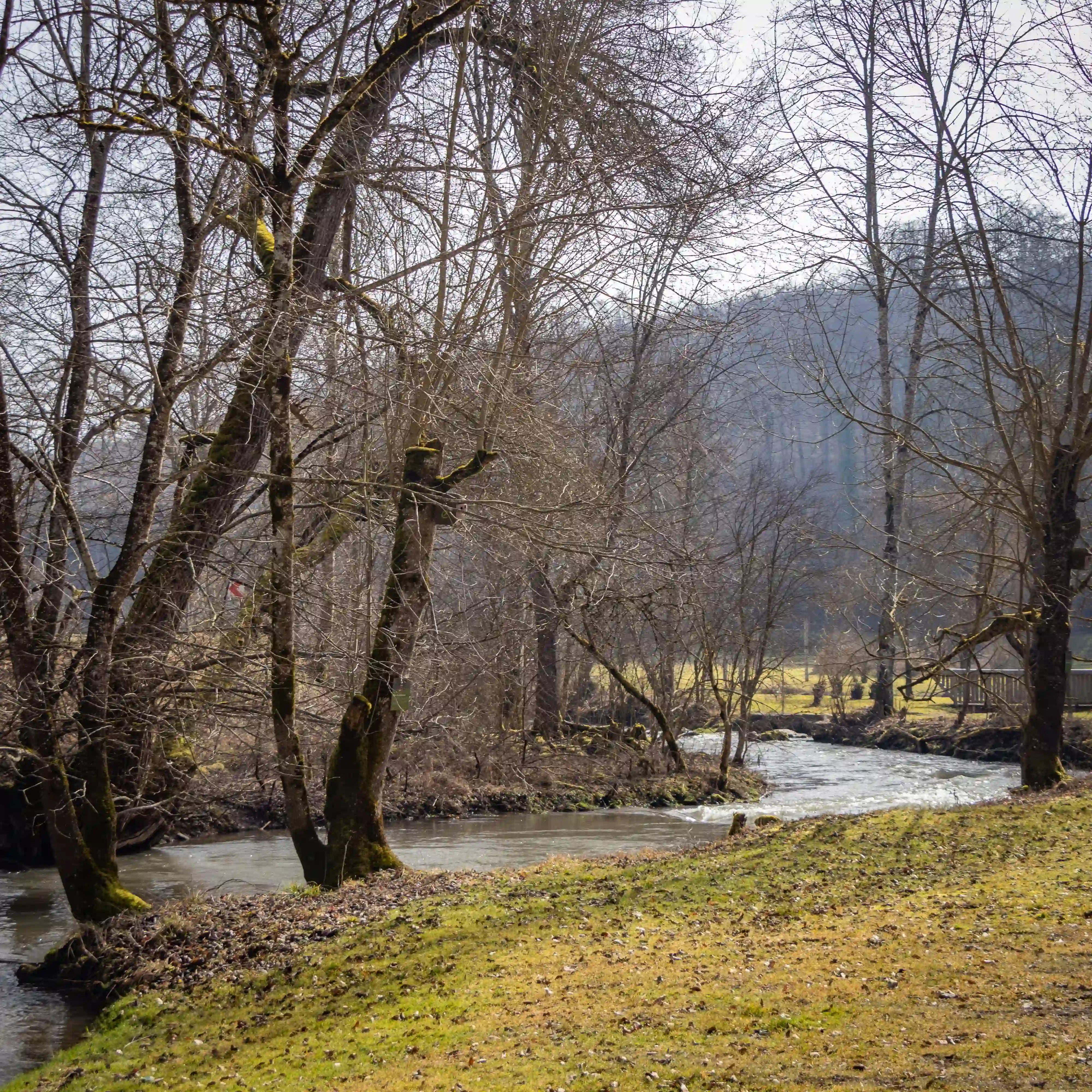 A winding river flowing through a grassy area with leafless trees along its banks.