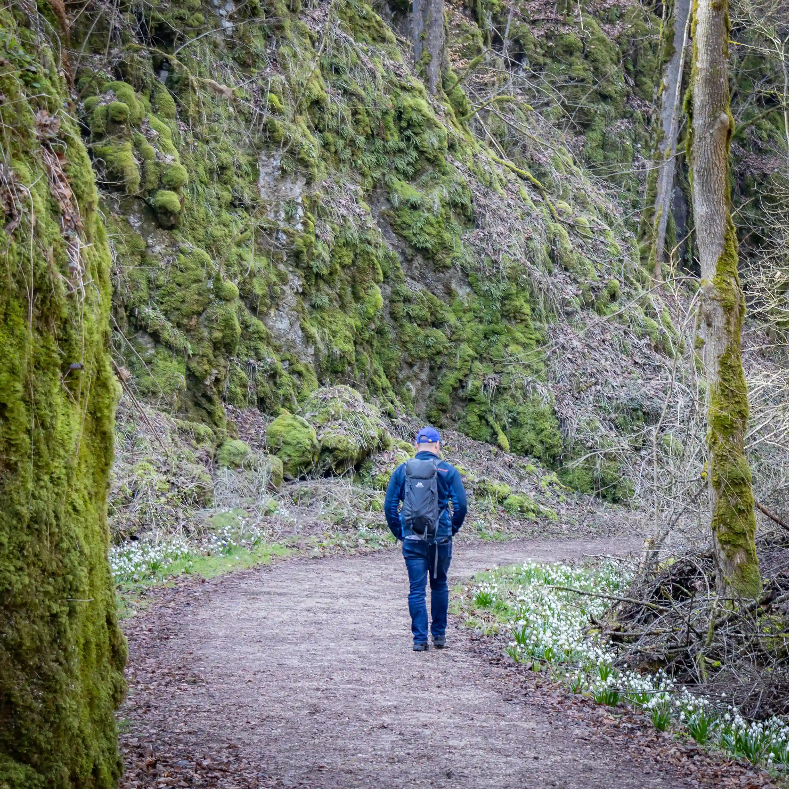 A man wearing a blue cap and backpack walking along a dirt trail beside moss-covered rock walls.