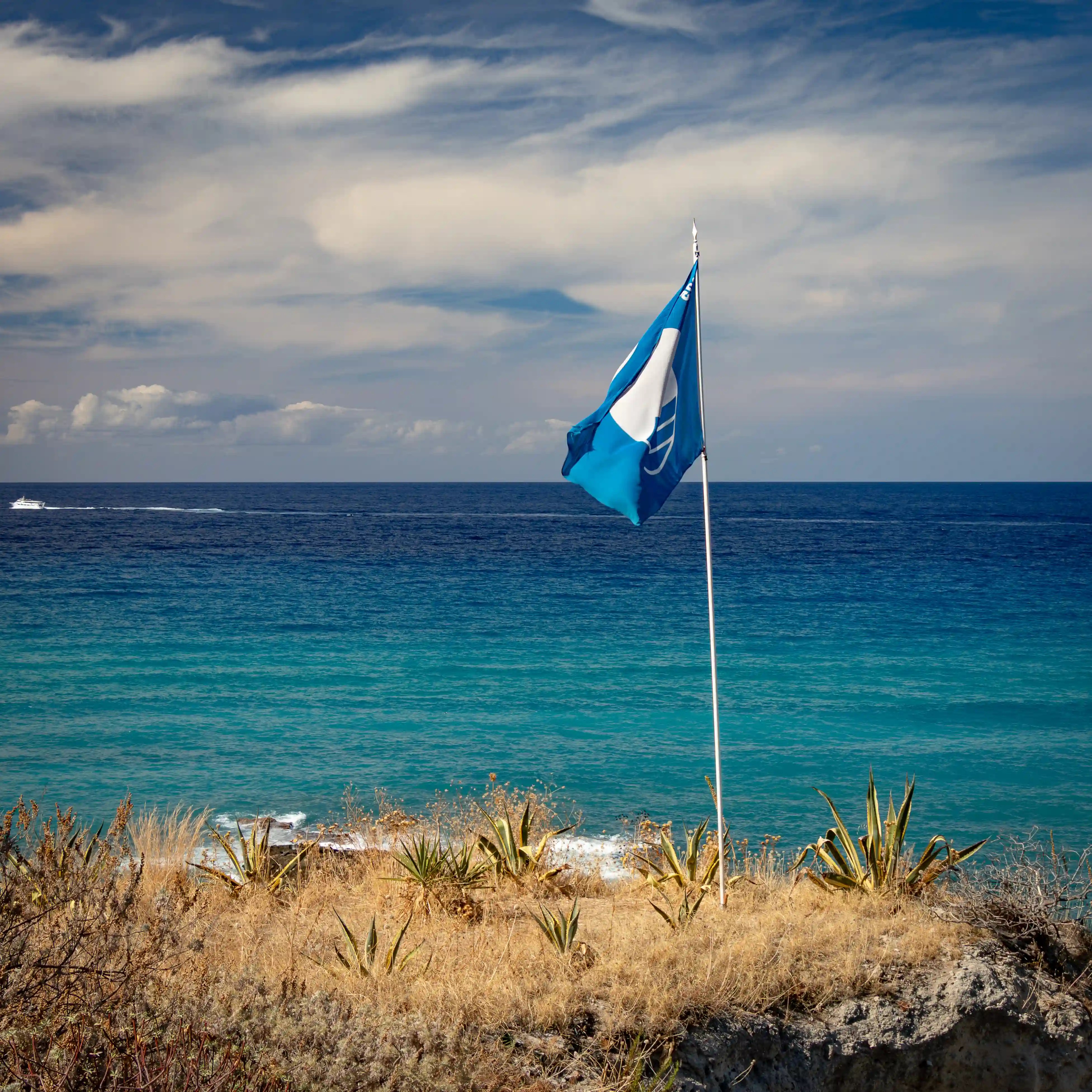 Blue flag on a pole above the sea with dry grass and plants in the foreground.