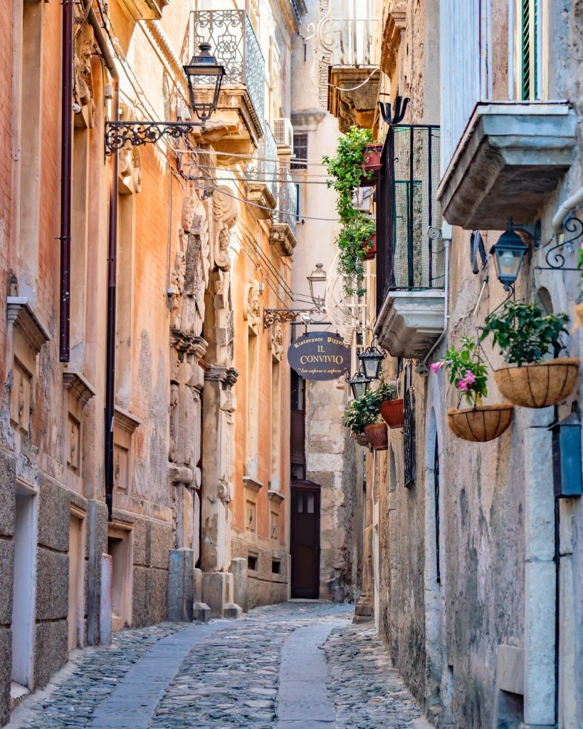 Narrow cobblestone street lined with buildings, balconies, and hanging plants.