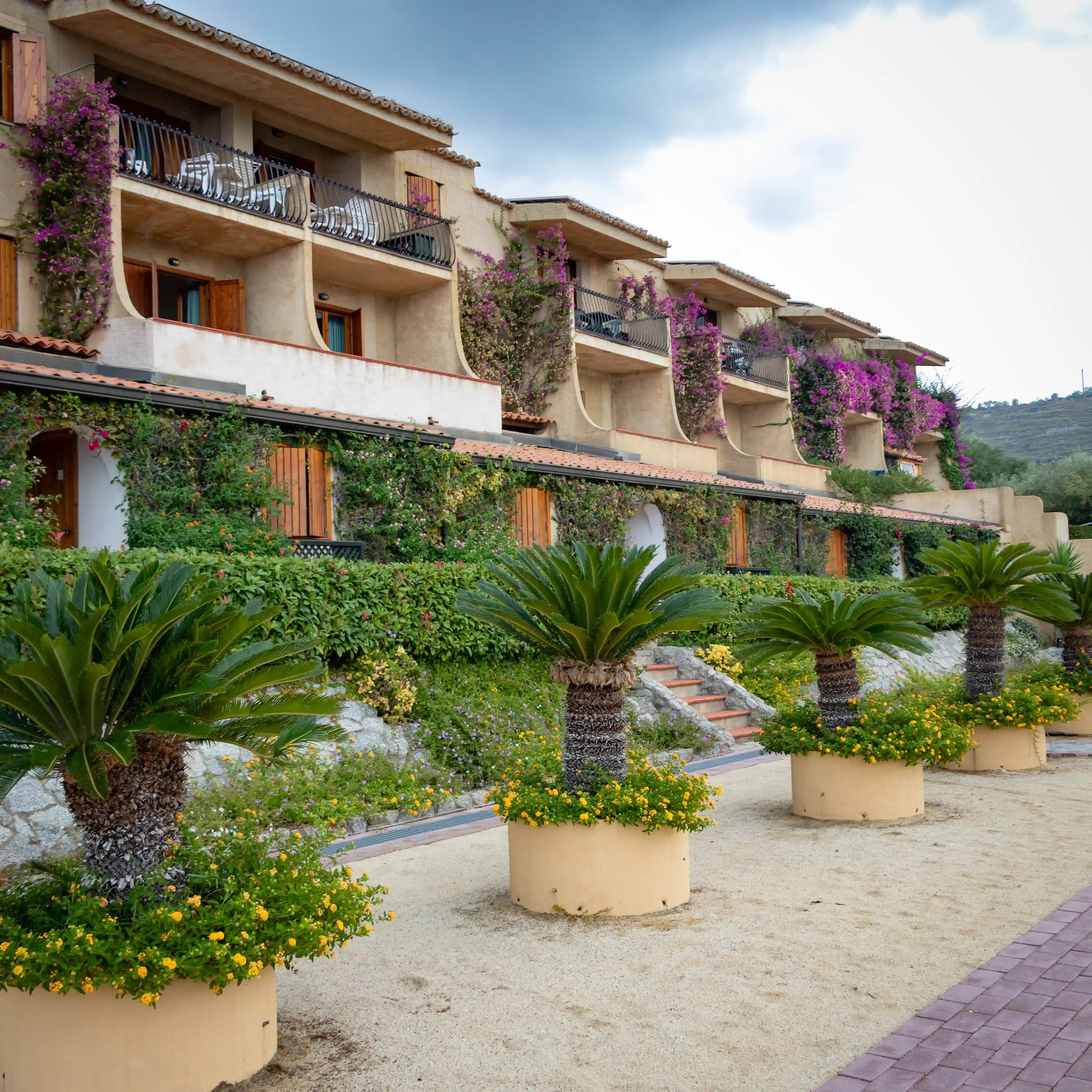 Row of apartment-style buildings with balconies, potted plants, and small palm trees in front.