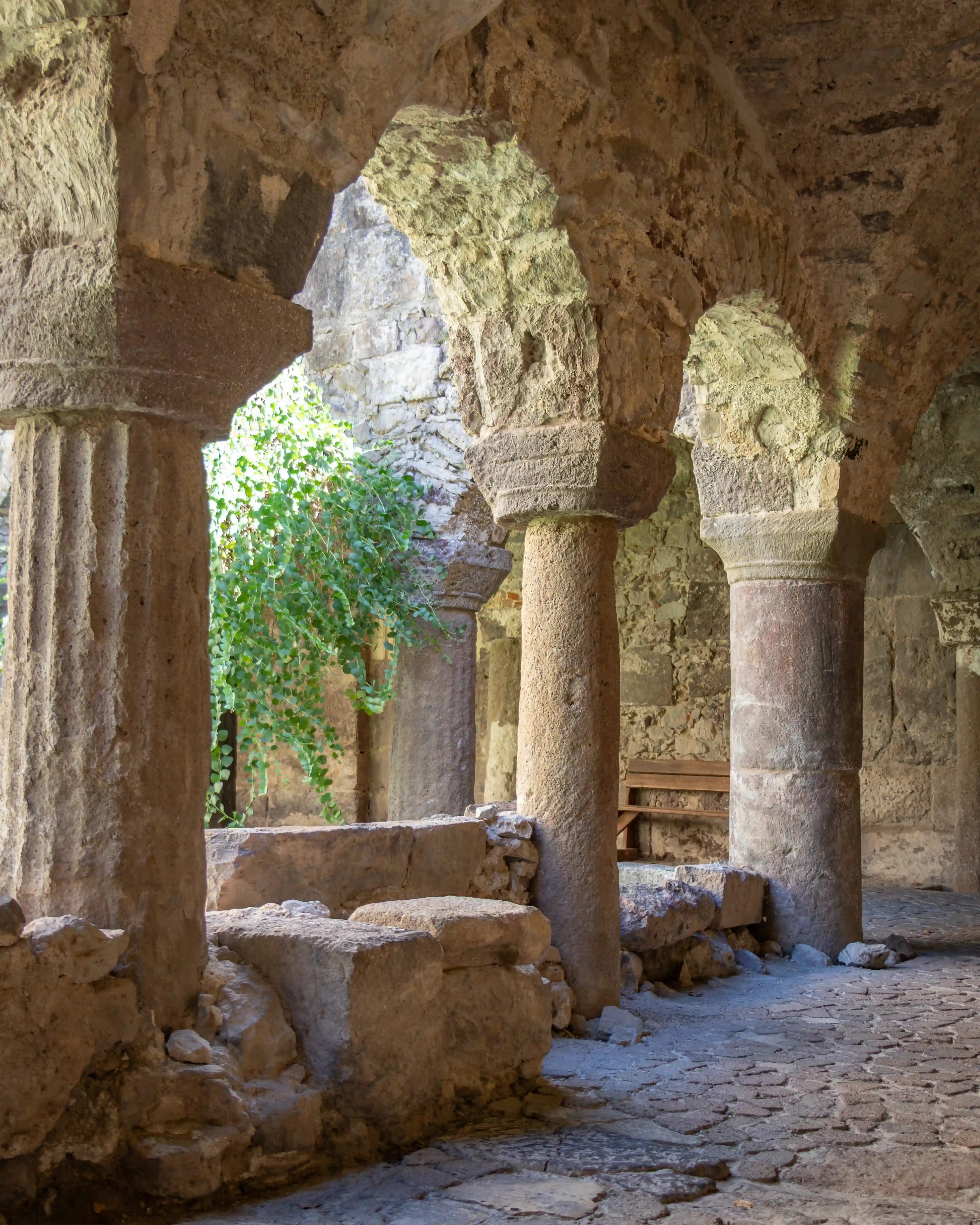 Stone arches supported by columns in a covered walkway with a stone floor and a small plant growing near the opening.